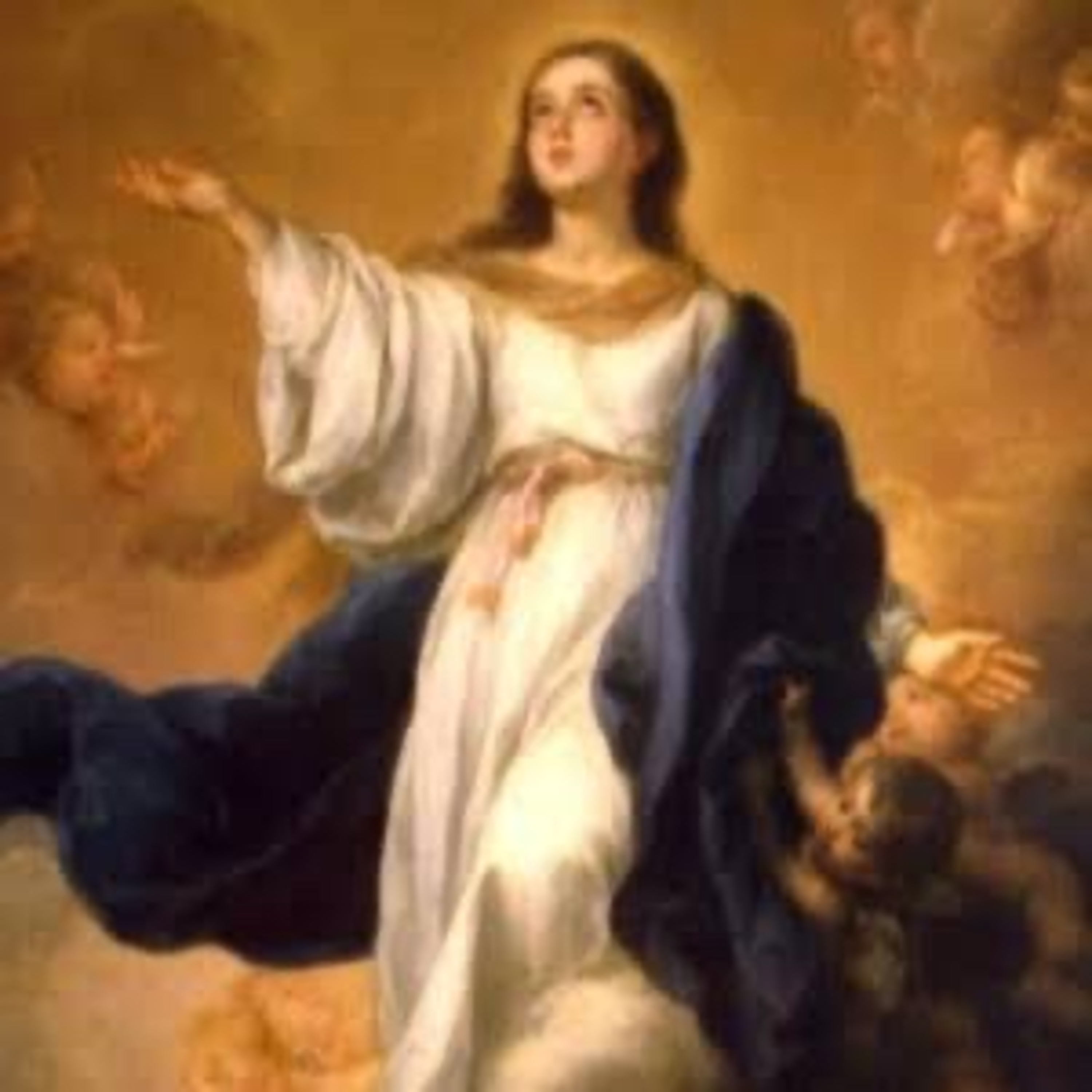 Cinco minutos com Maria Santíssima 🌹