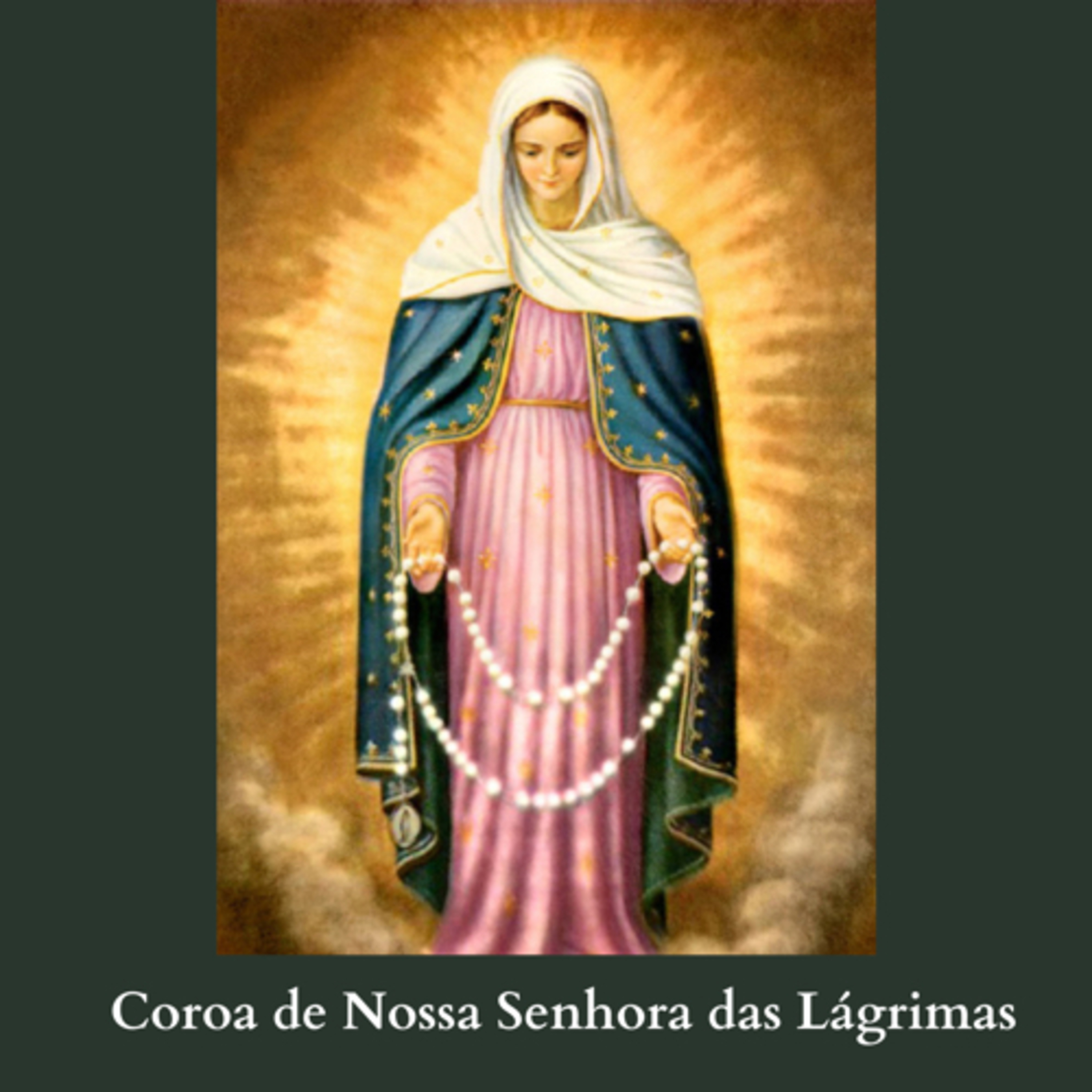 Cinco minutos com Maria Santíssima 🌹