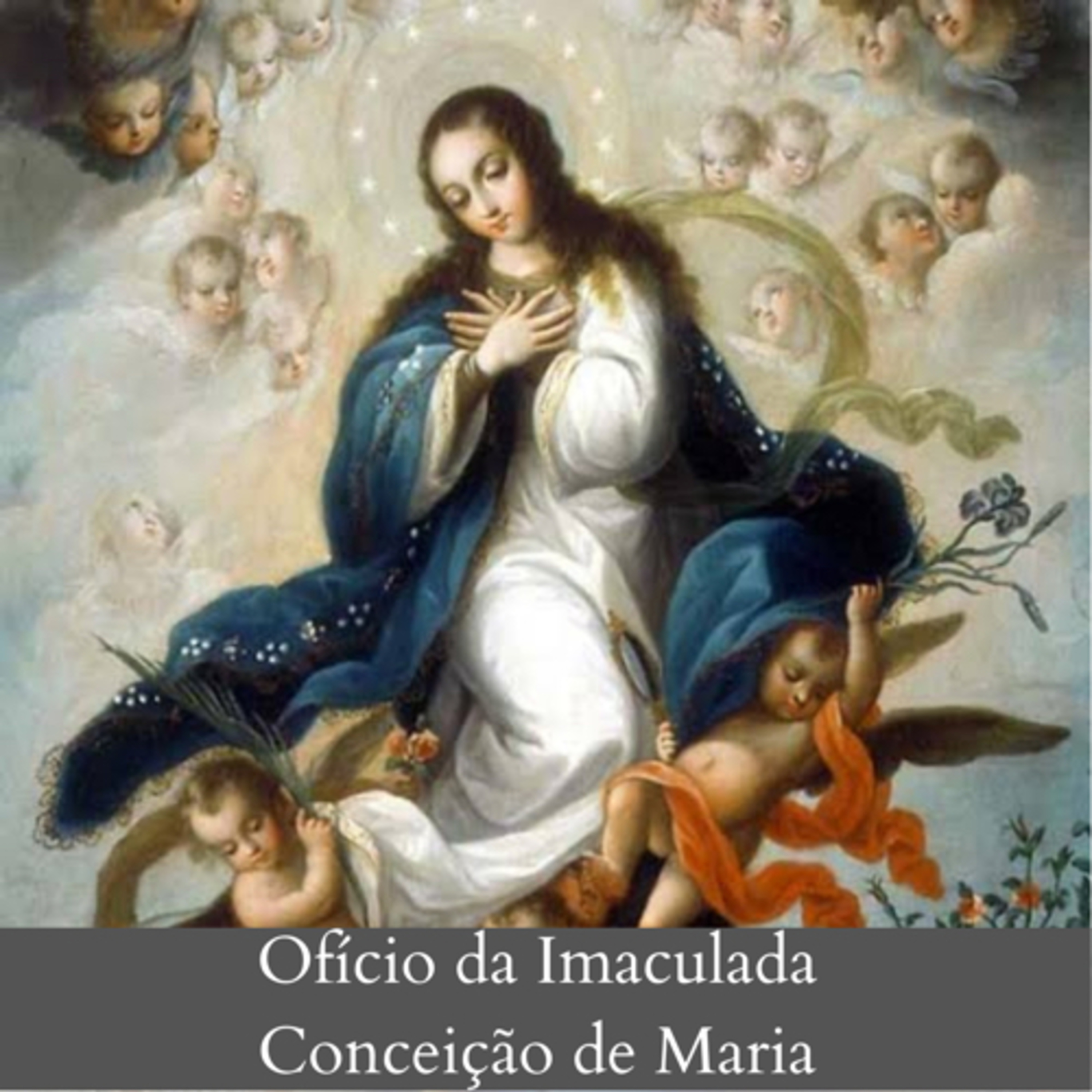 Cinco minutos com Maria Santíssima 🌹