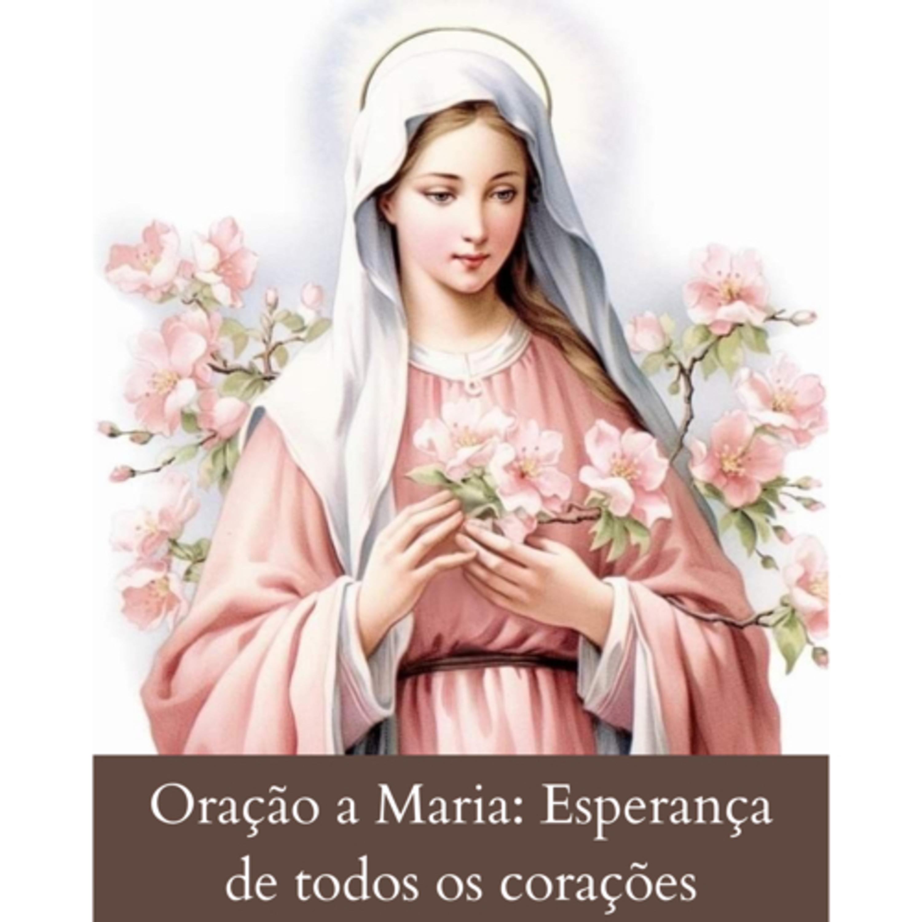 Cinco minutos com Maria Santíssima 🌹
