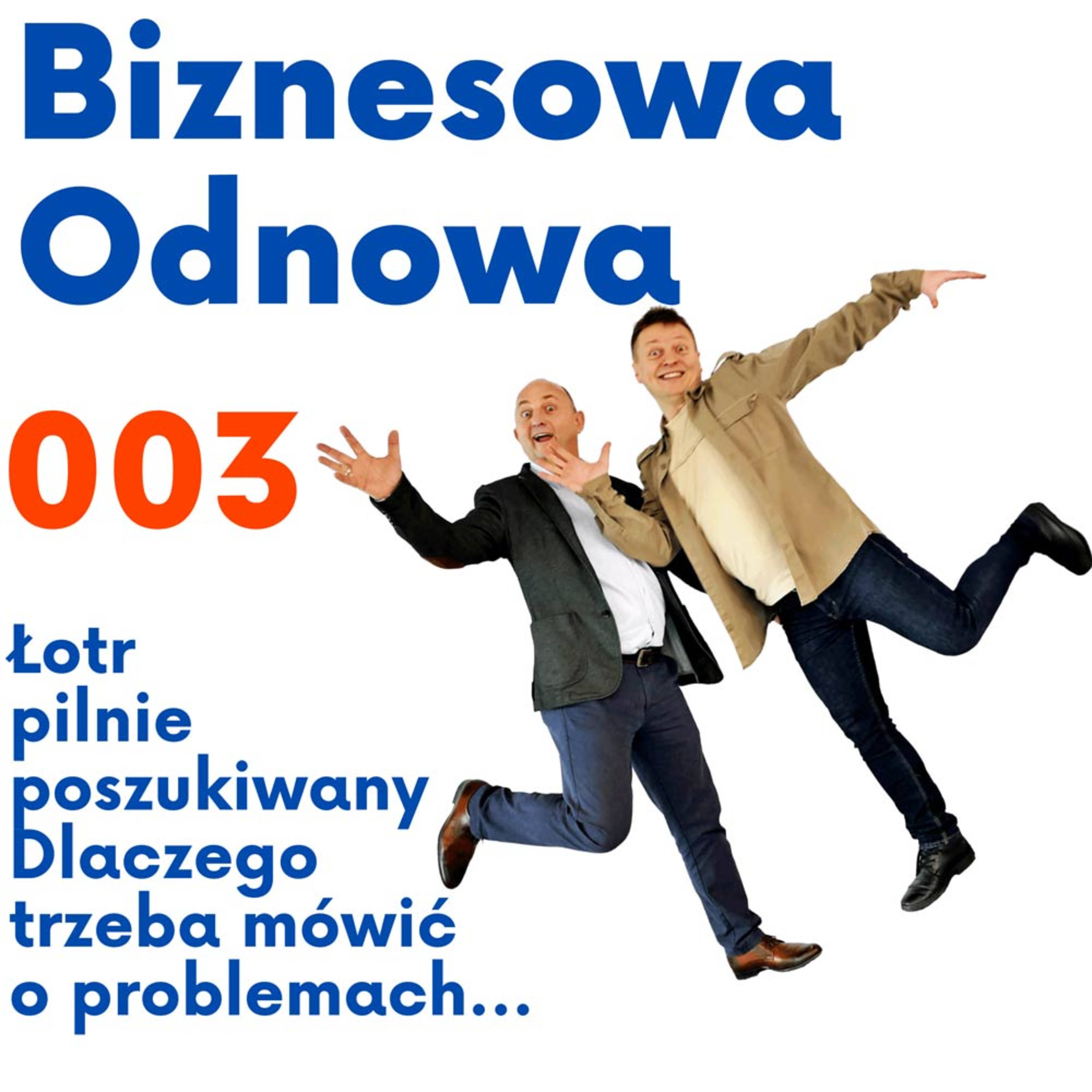 Biznesowa Odnowa