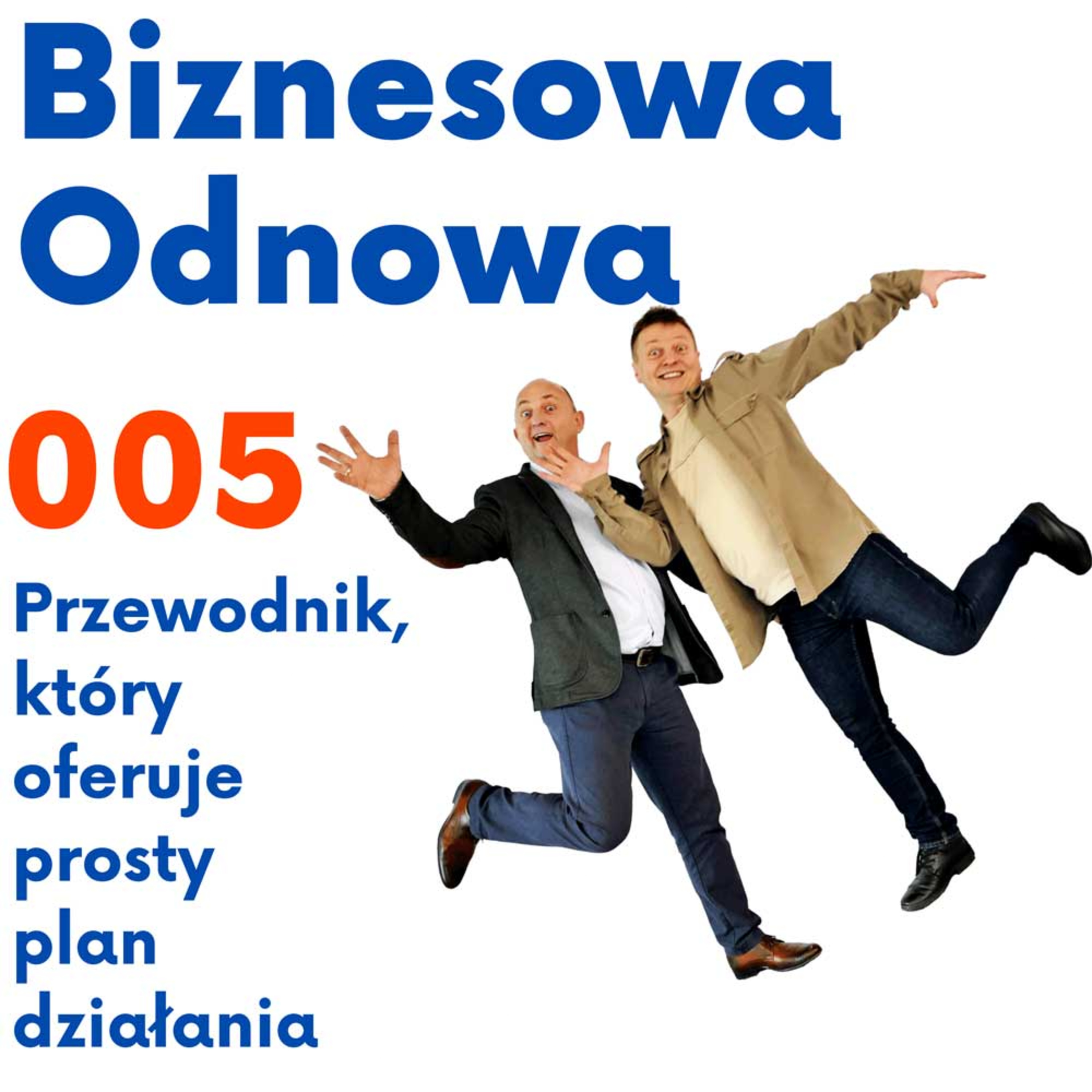 Biznesowa Odnowa