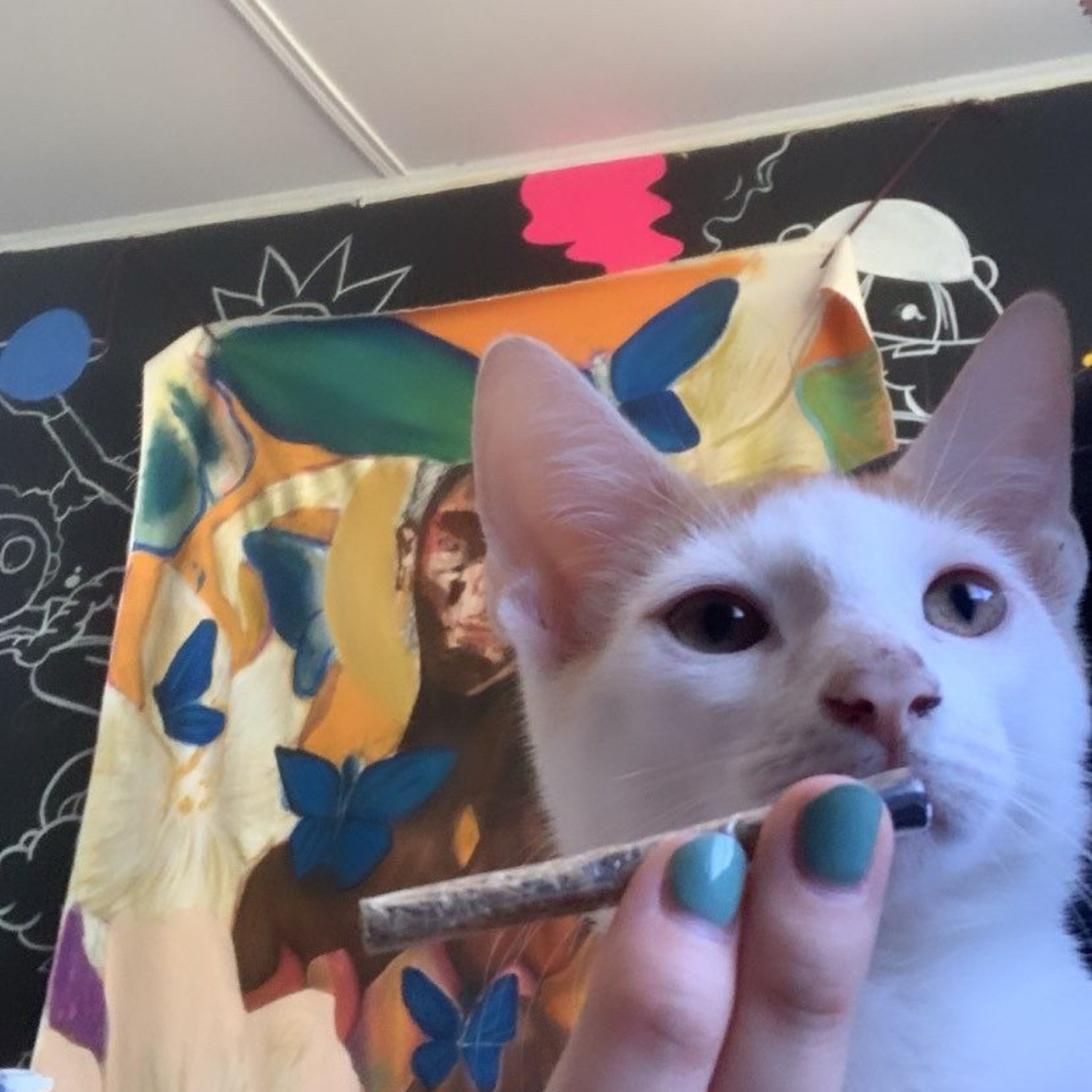 Jj BUSTER, THE COOL PODCAST