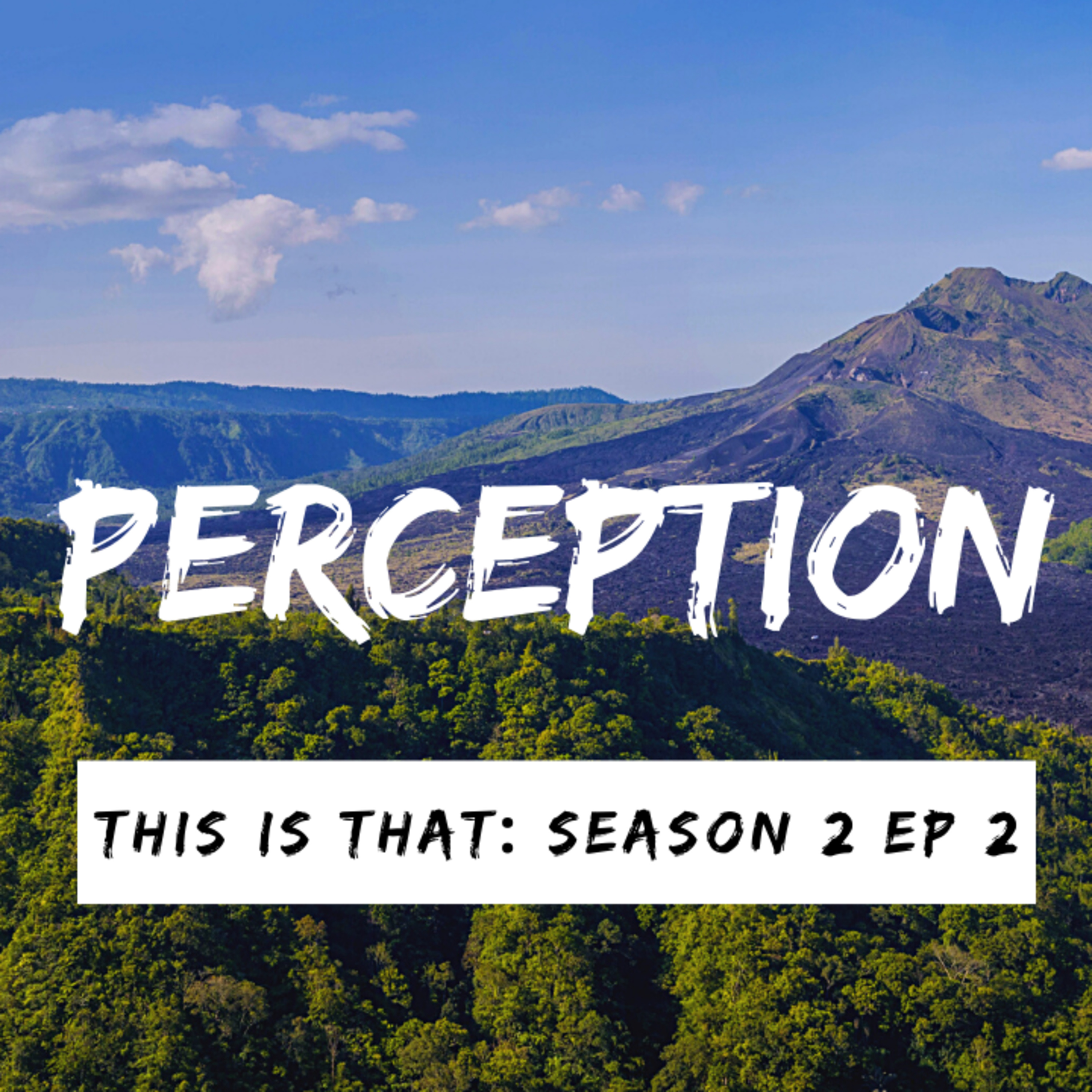 Season 2: Episode 2: Perception episode artwork