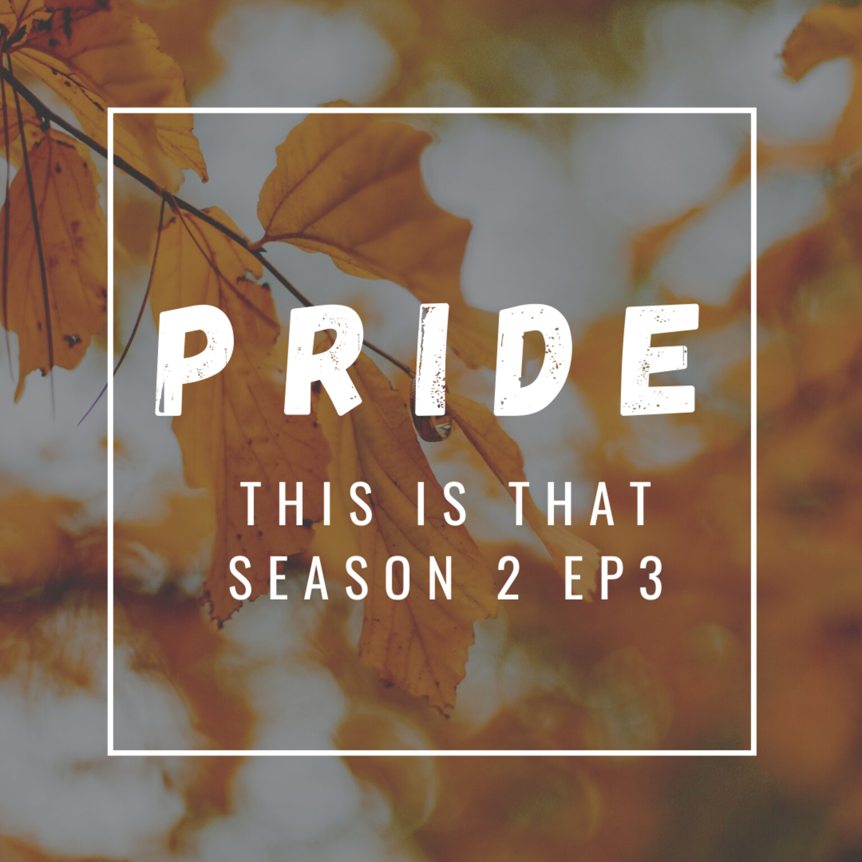 Season 2: Episode 3 Pride episode artwork