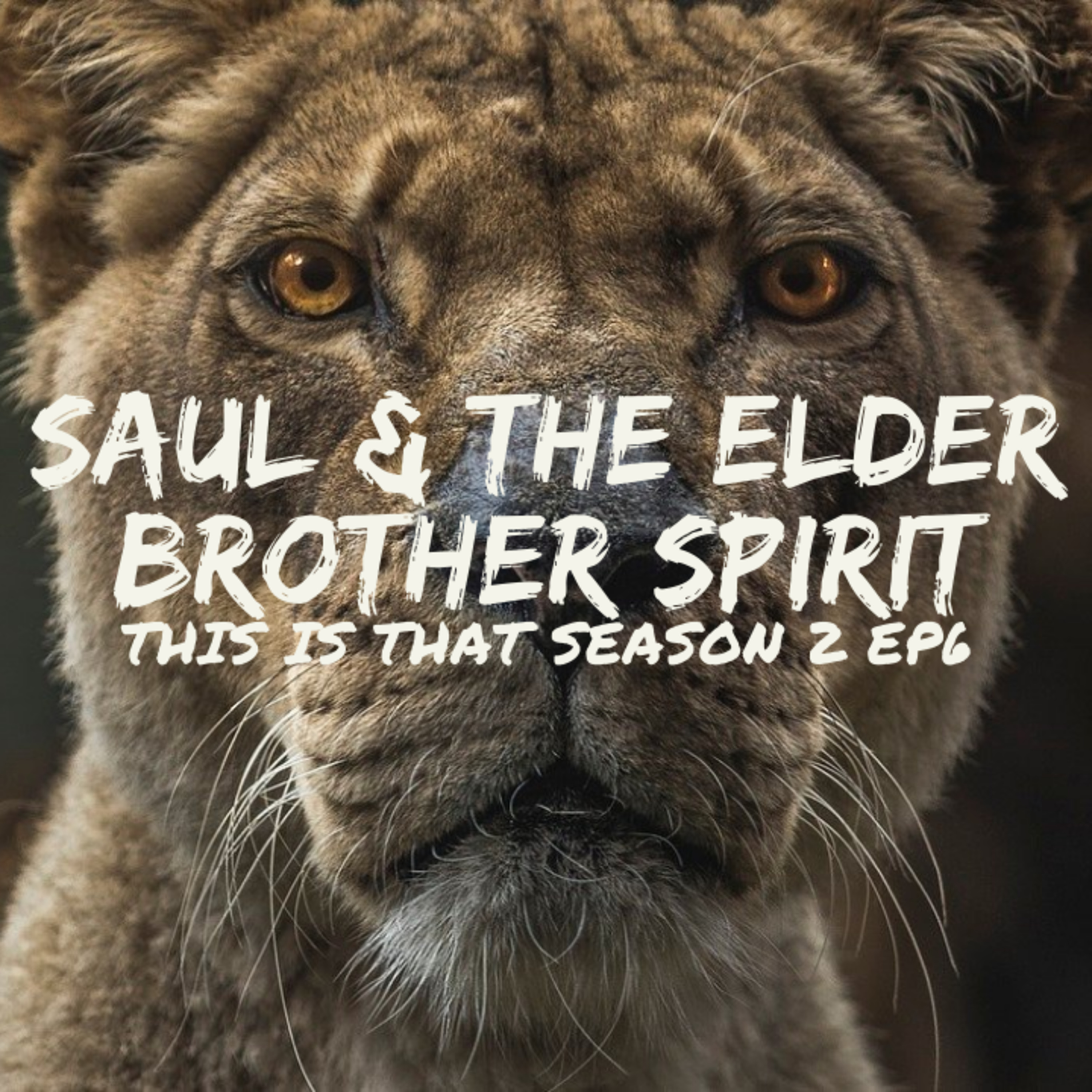 Season 2 Episode 6: Saul & the Elder Brother Spirit episode artwork