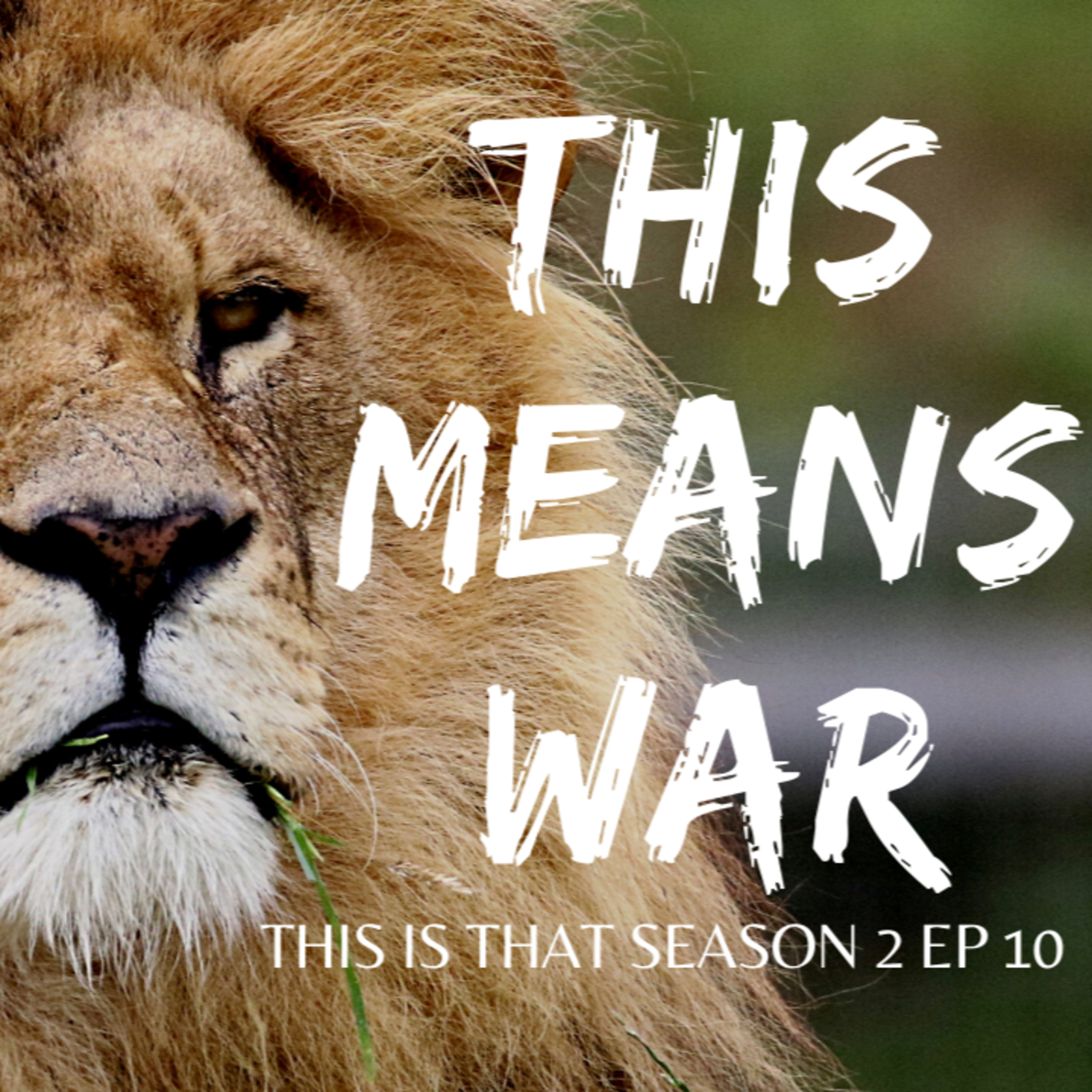 THIS IS THAT SEASON 2 EPISODE 10 THIS MEANS WAR episode artwork