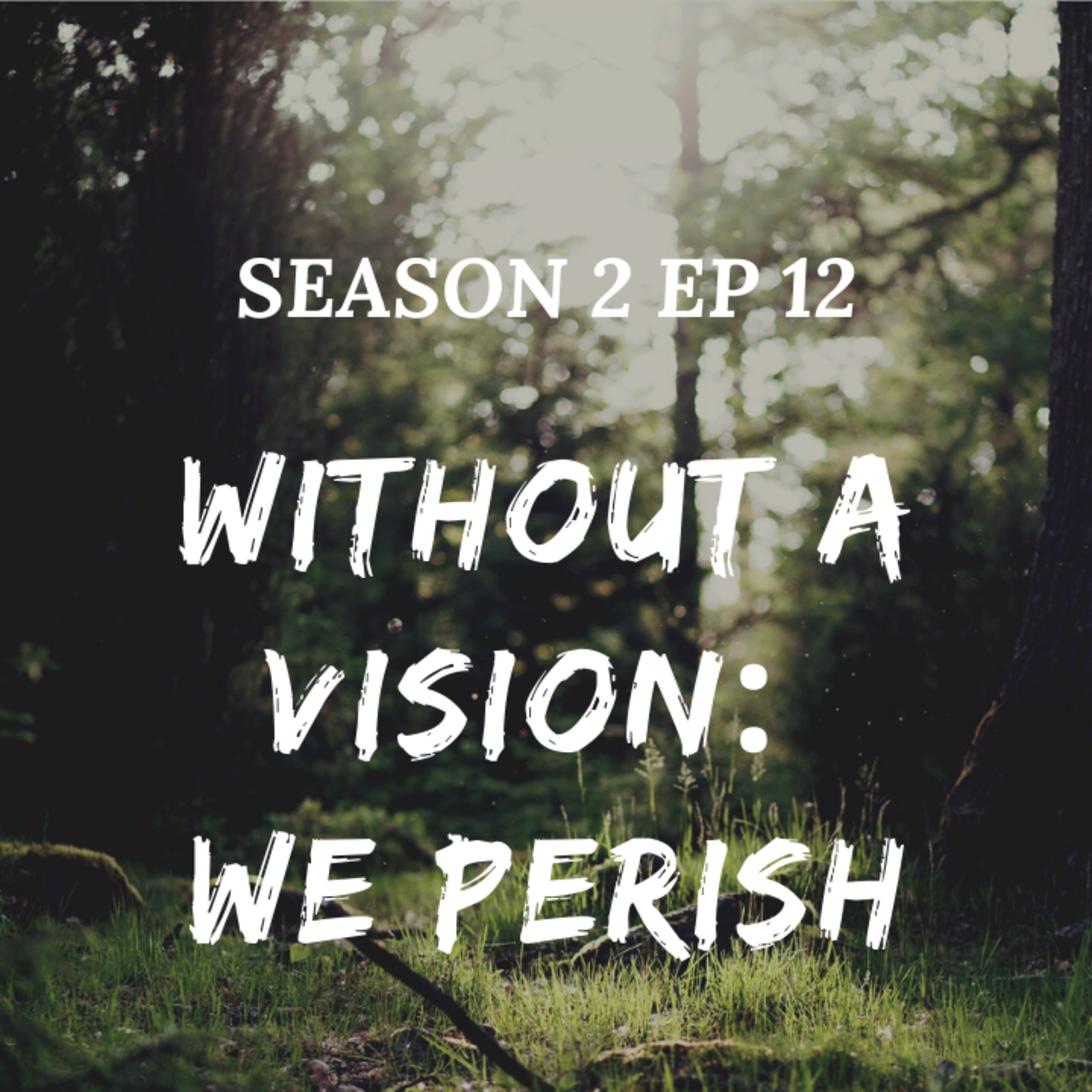 season 2 episode 12: What is your vision like? episode artwork