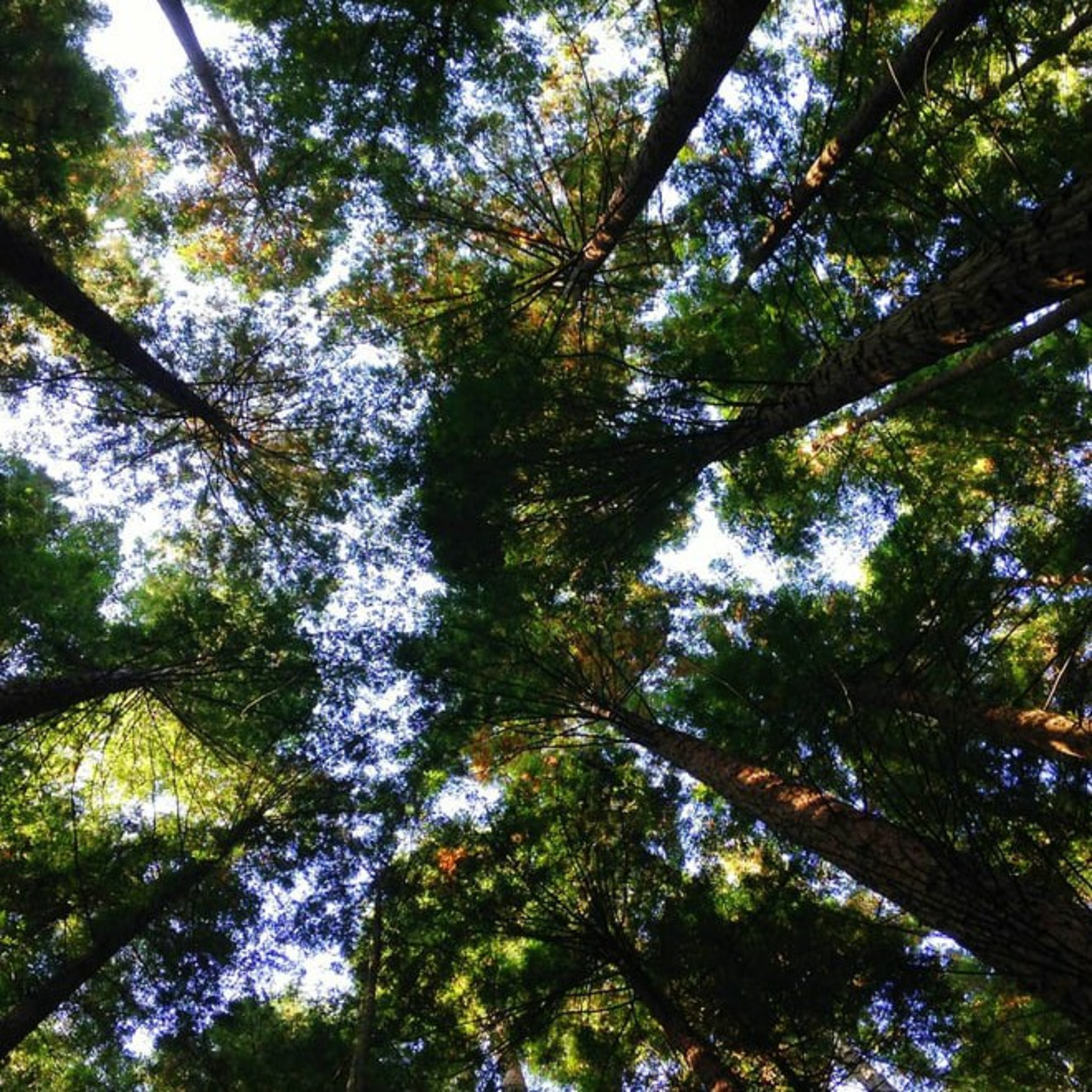 kisahtentanghati