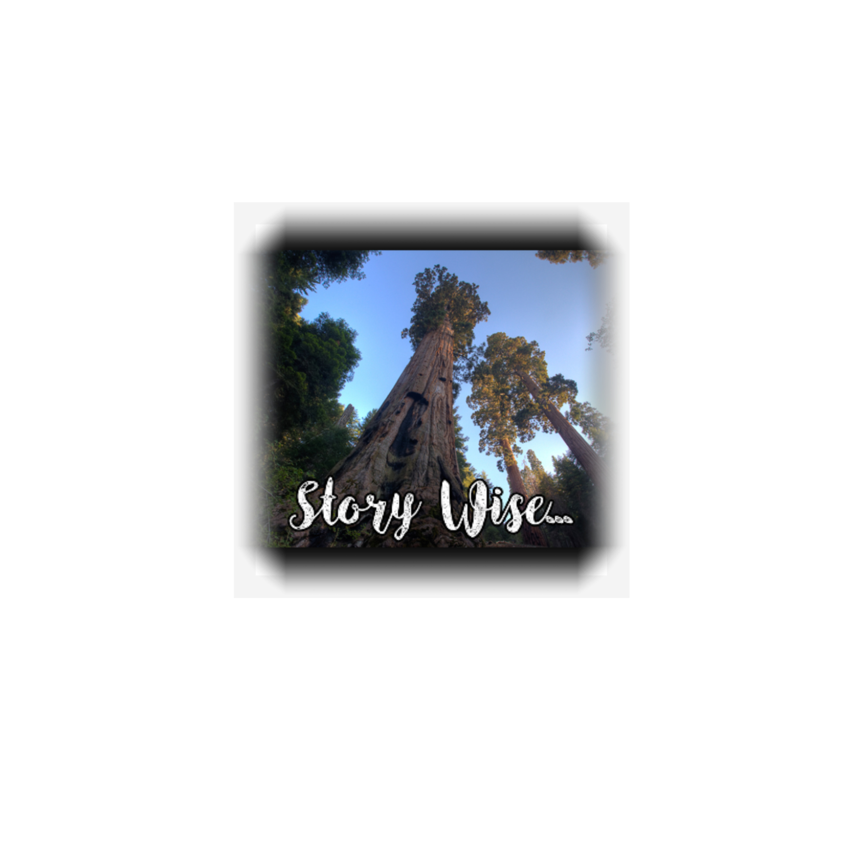 Story Wise
