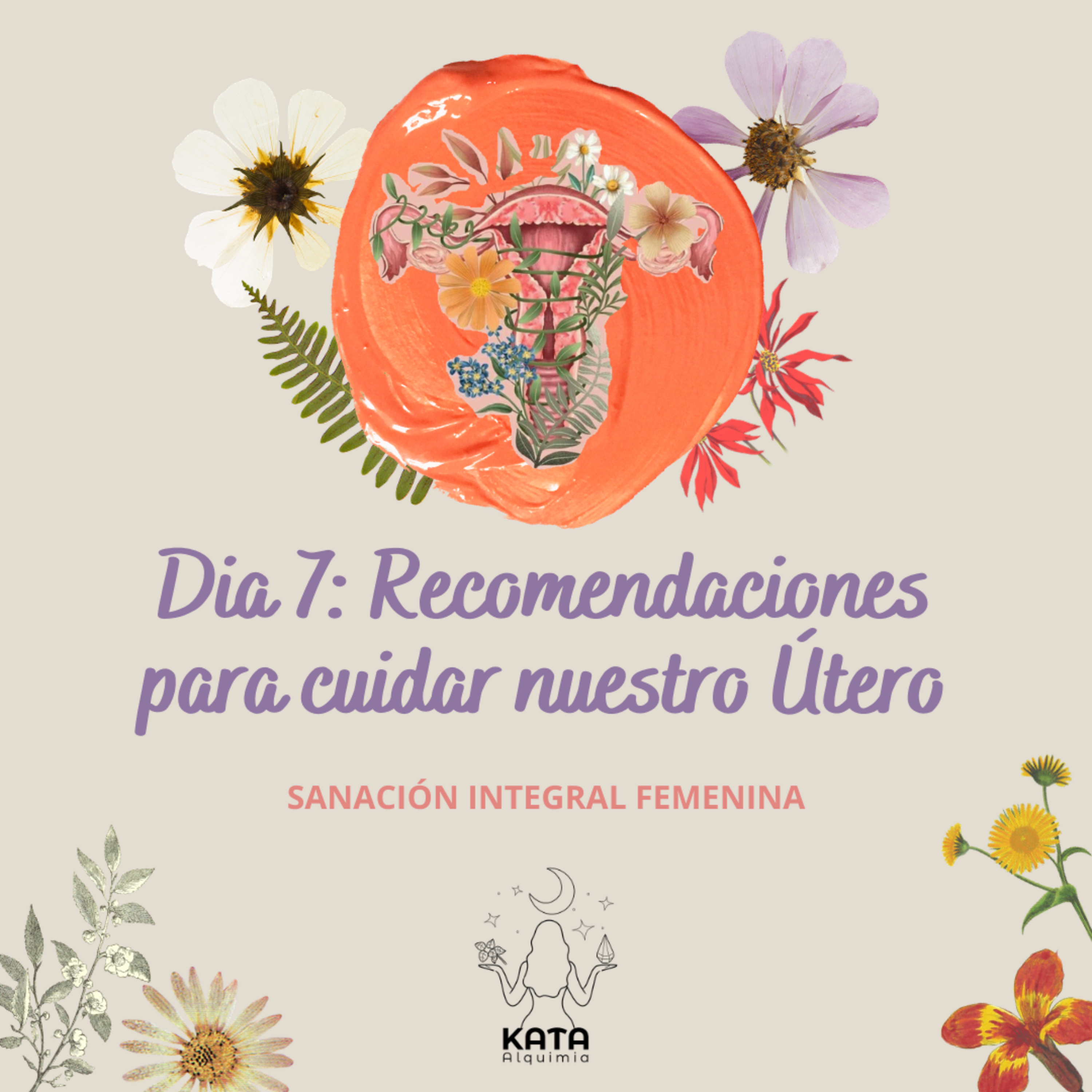 Kata Alquimia