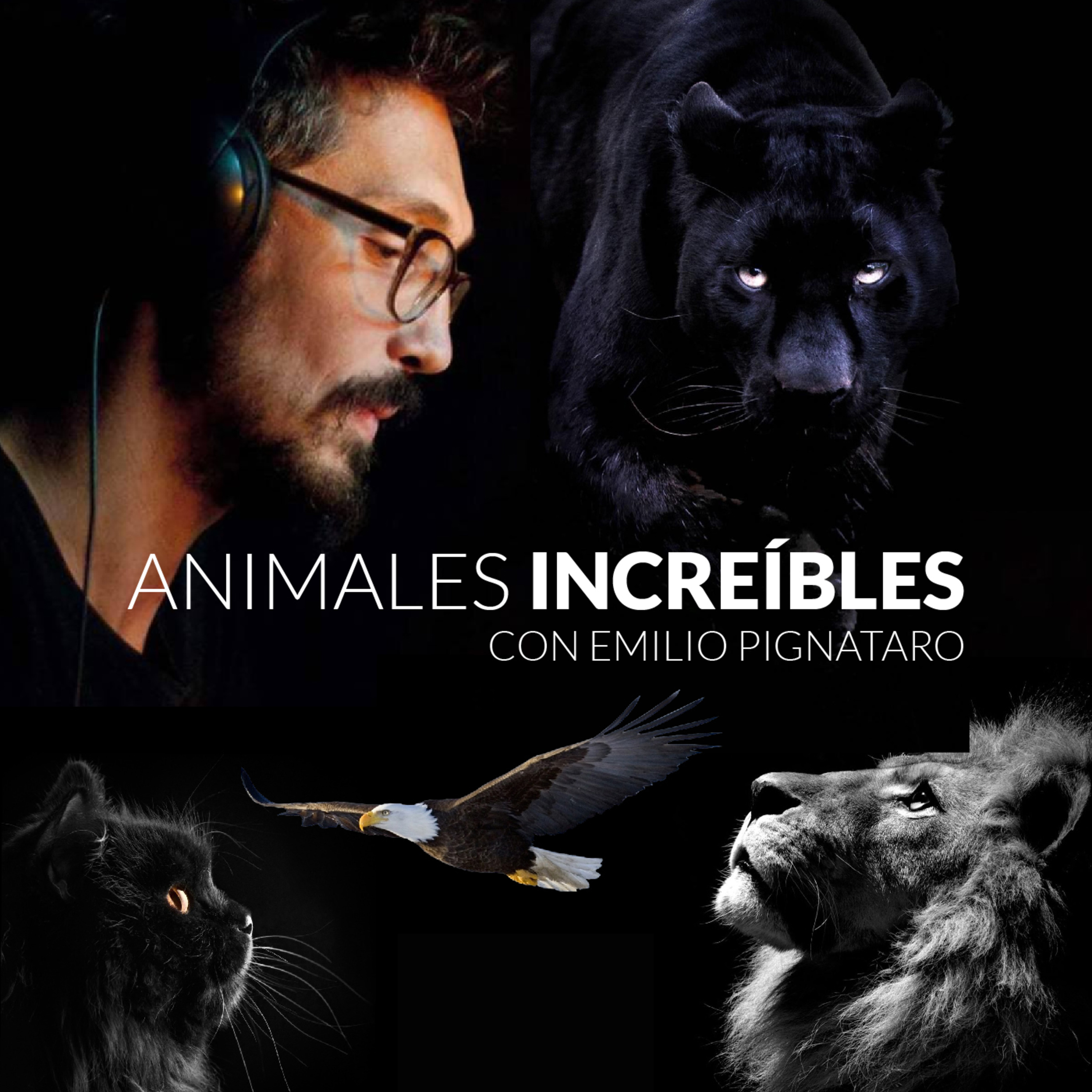 FONA, la fábrica de Podcast.