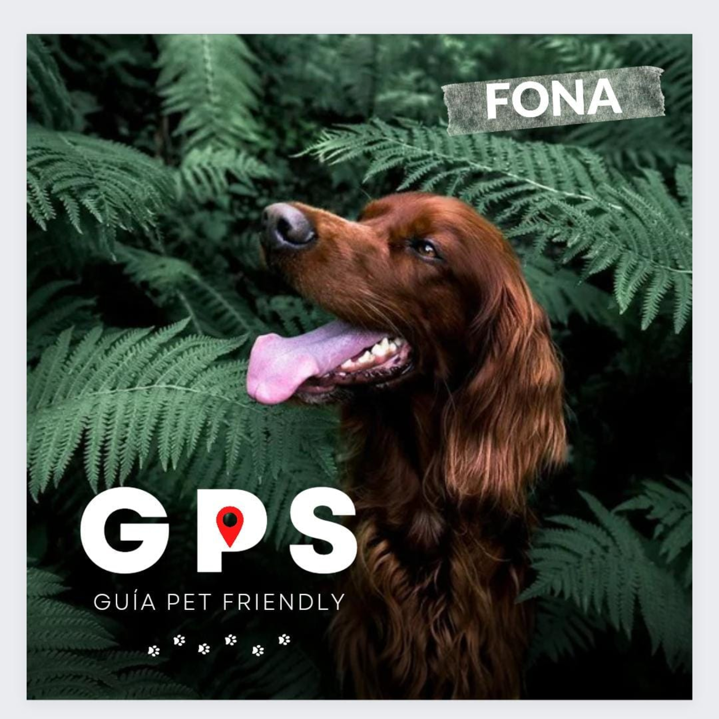 FONA, la fábrica de Podcast.