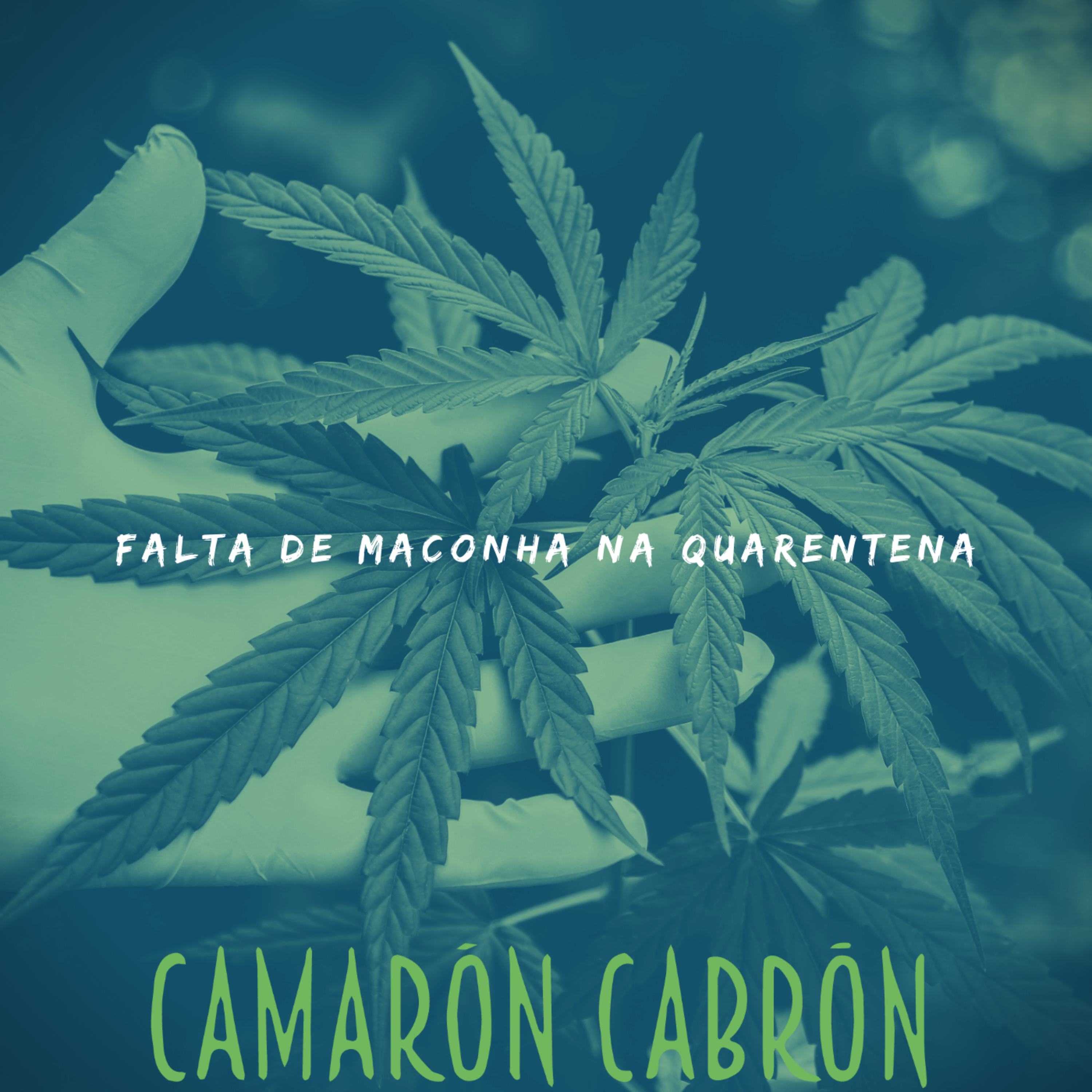 Camarón Cabrón