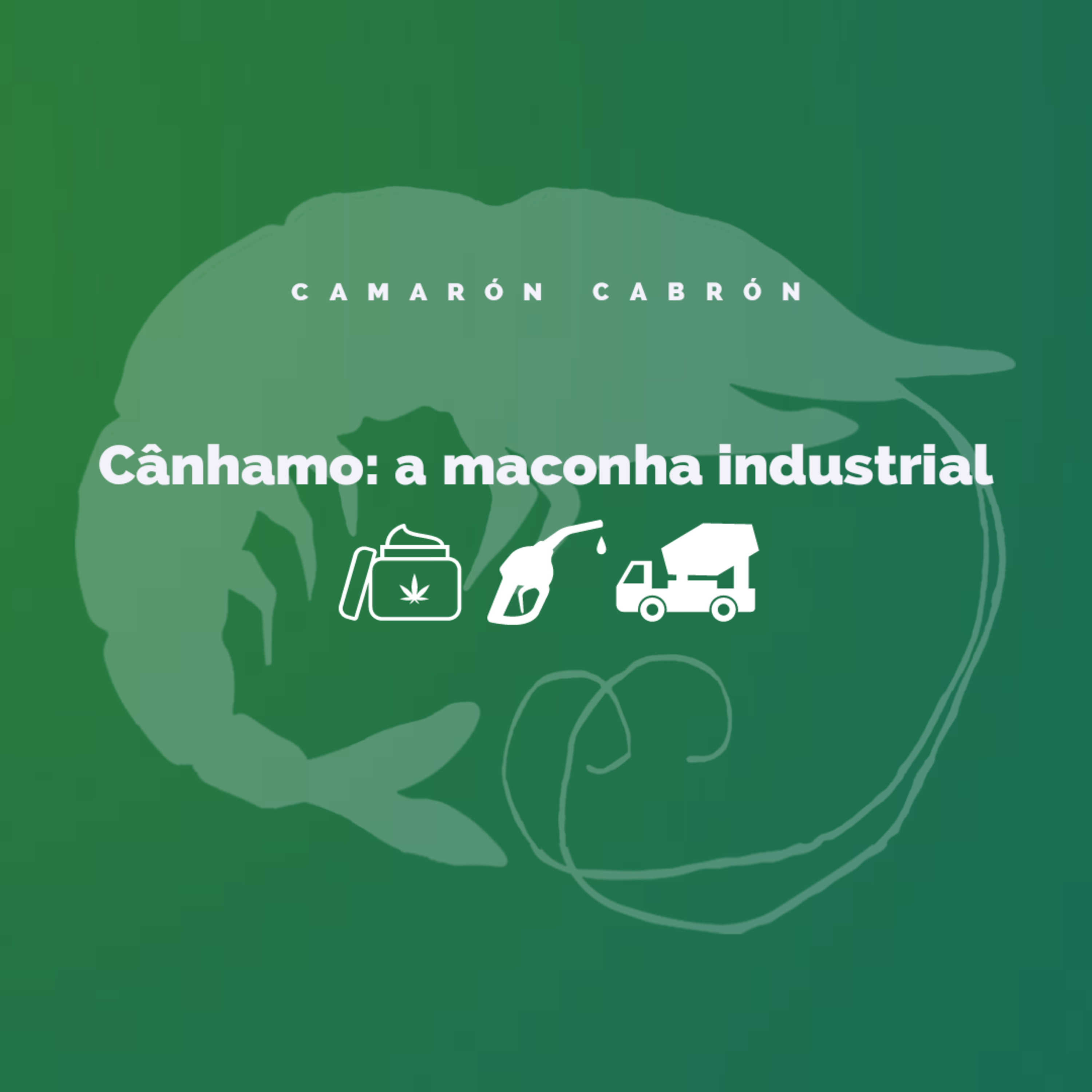 CC #104 - Cânhamo: a maconha industrial episode artwork
