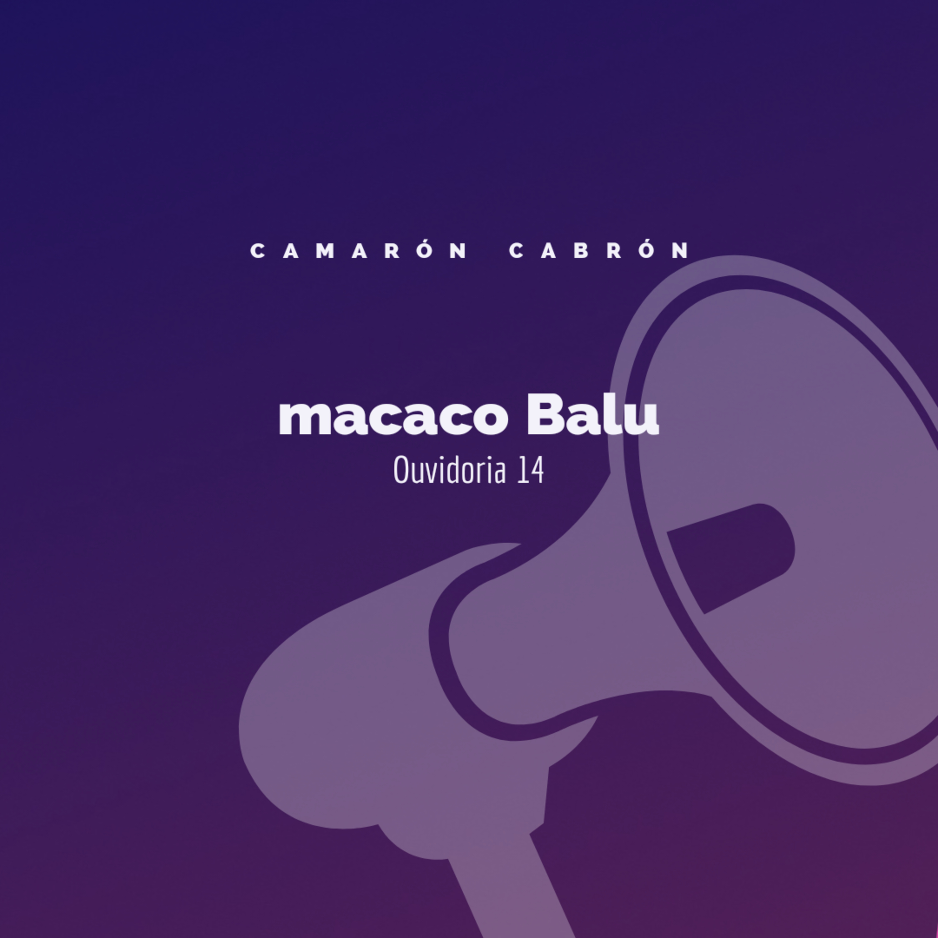 Ouvidoria 14 - macaco Balu episode artwork
