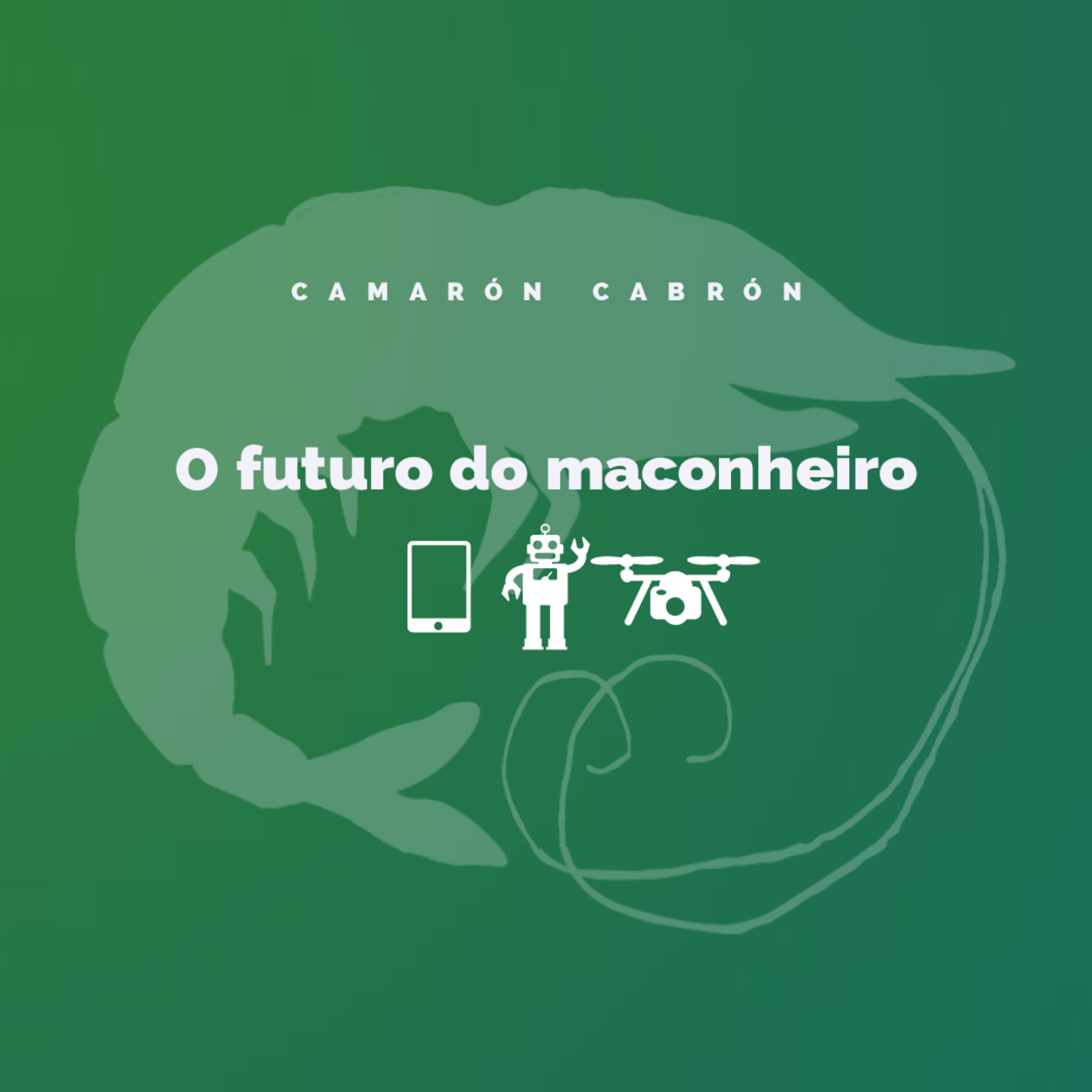 CC #119 - O futuro do maconheiro episode artwork