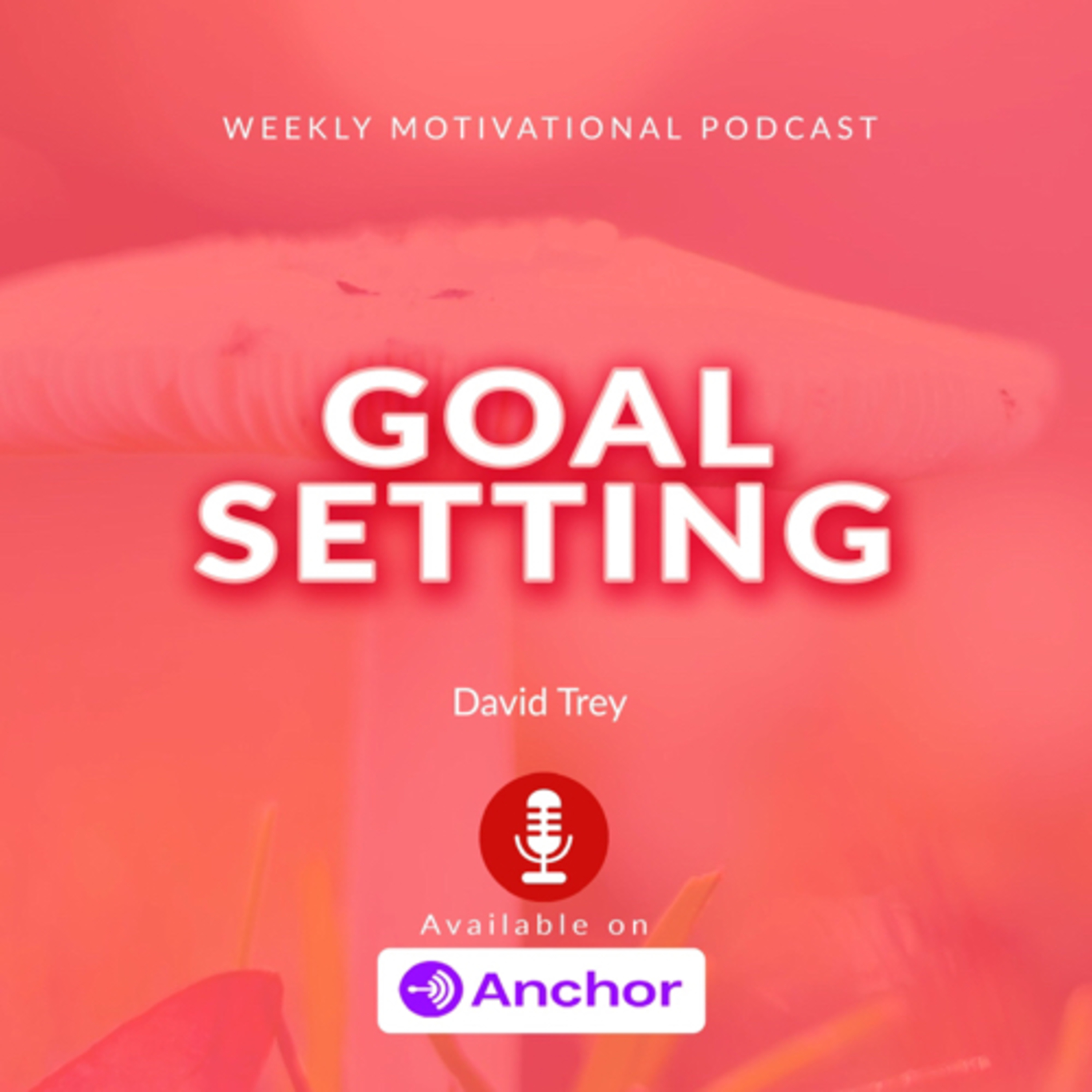 GOAL SETTING  episode artwork