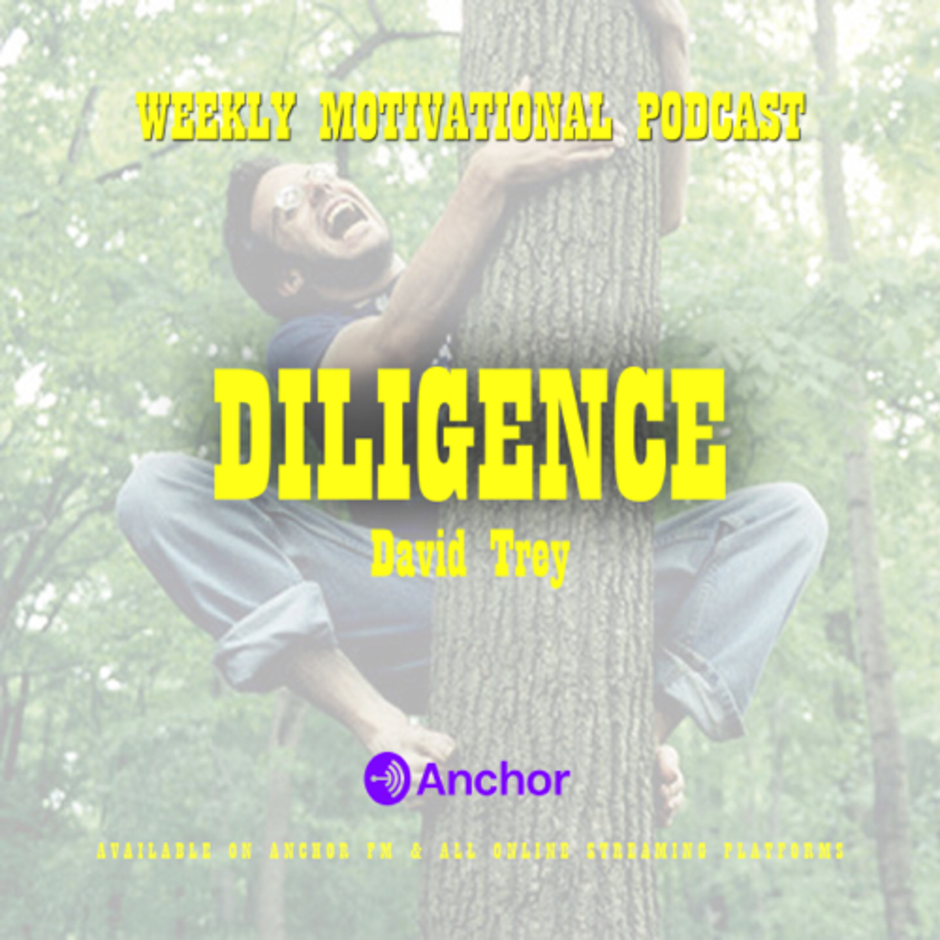 Diligence  episode artwork
