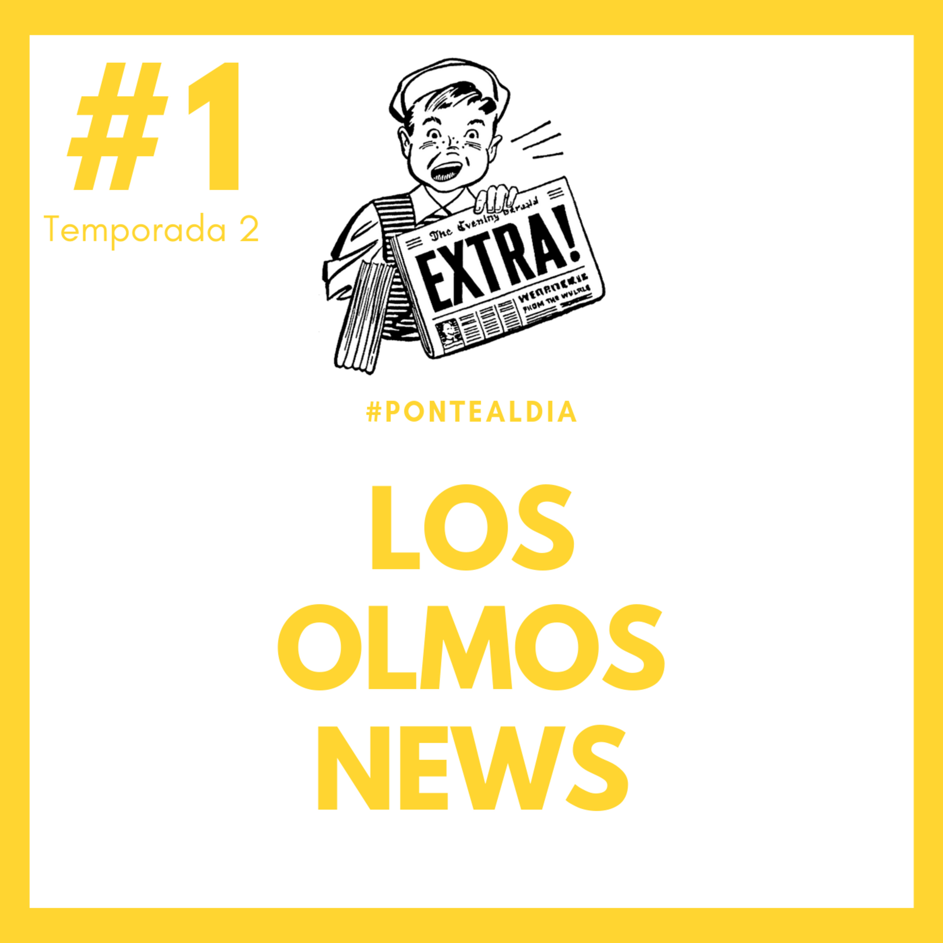 Los Olmos News