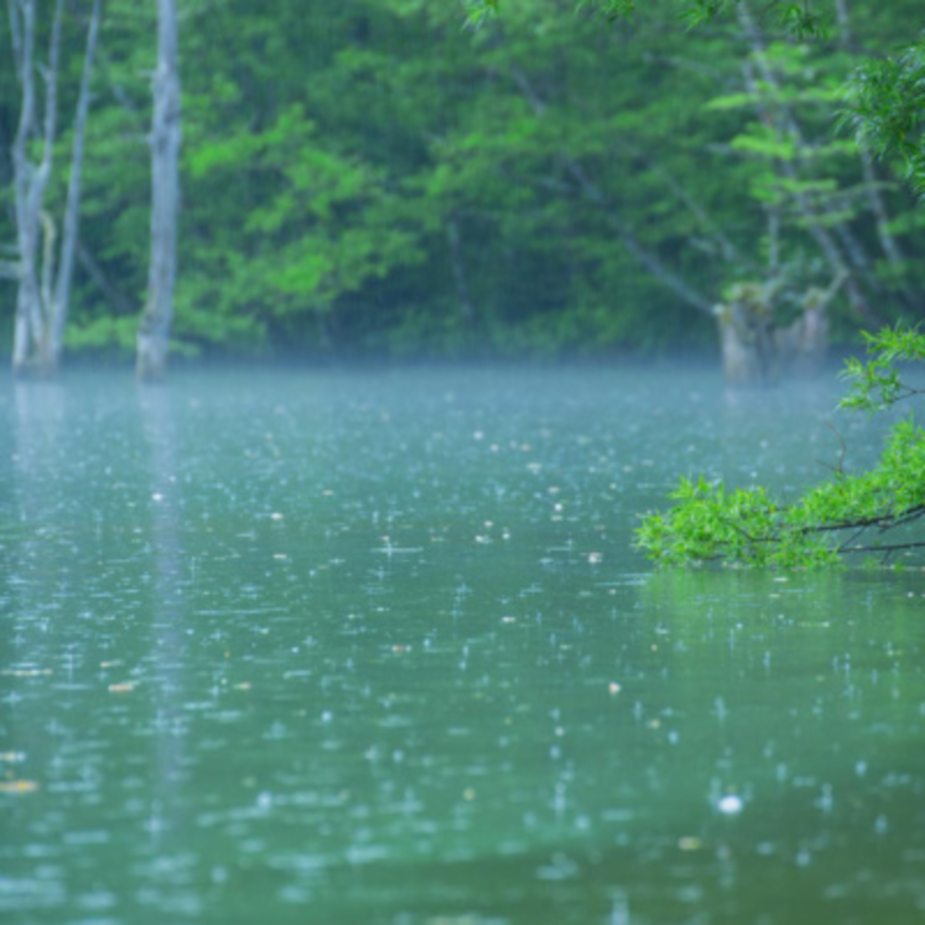 Sleep Sounds by Tmsoft (Bahasa Indonesia)