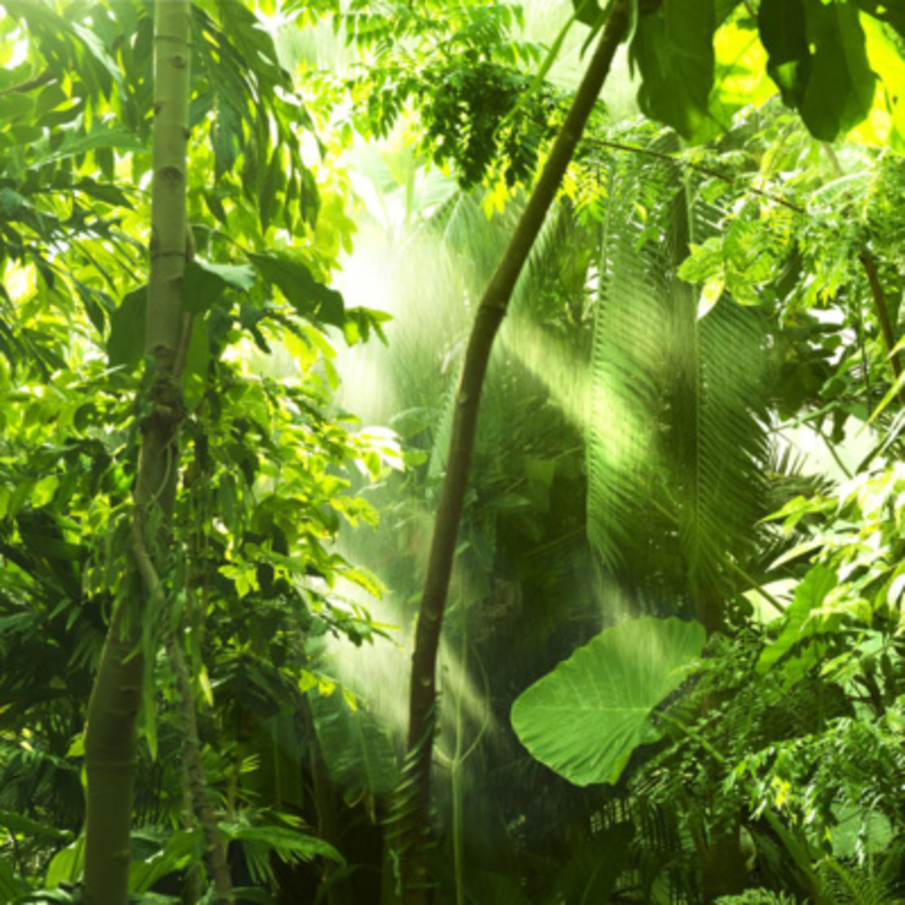 Sleep Sounds by Tmsoft (Bahasa Indonesia)