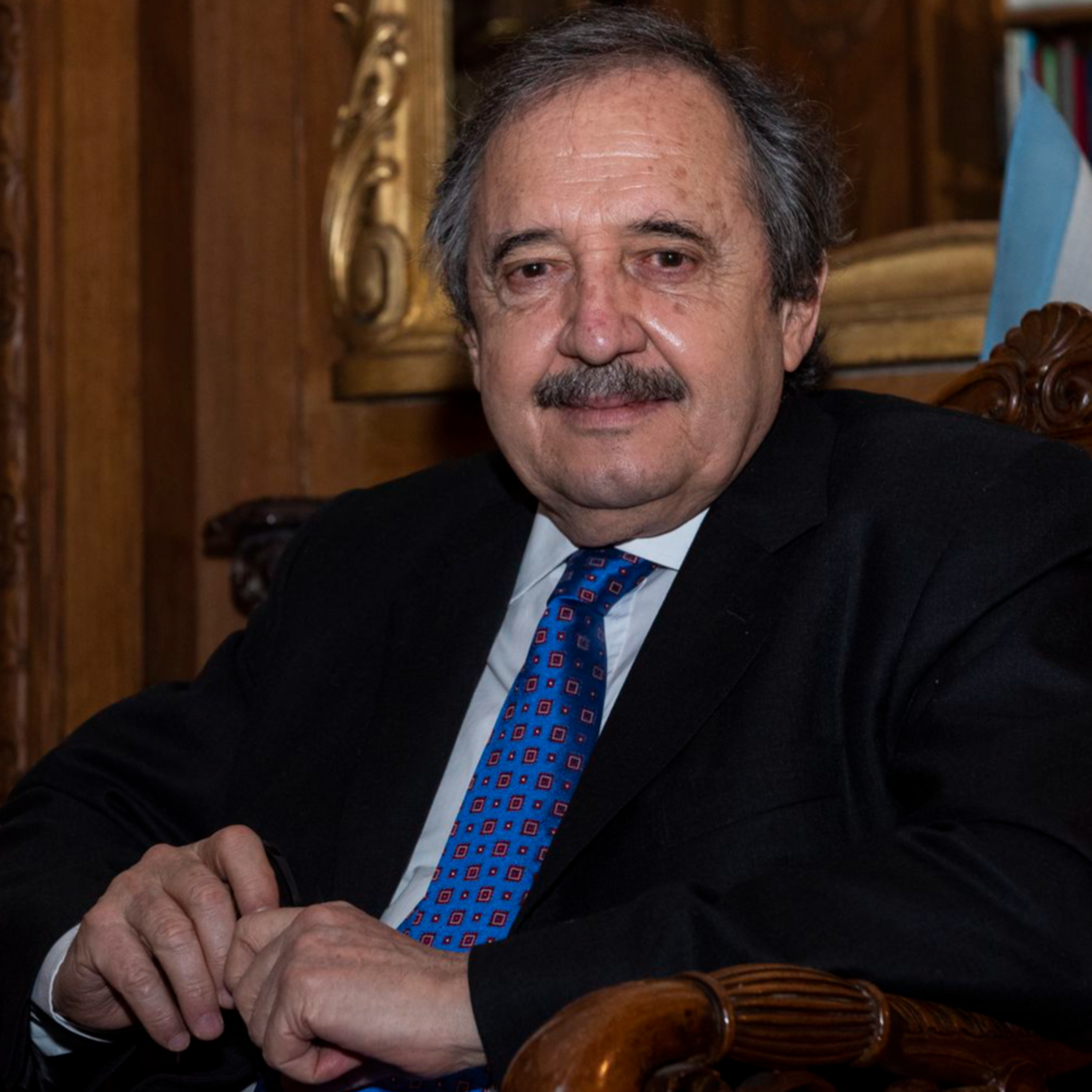 “Me gustaría que la derecha dé soluciones y propuestas a los problemas de los argentinos y no que magnifiquen y traten de aprovechar cualquier cosa para sacar partido”. episode artwork
