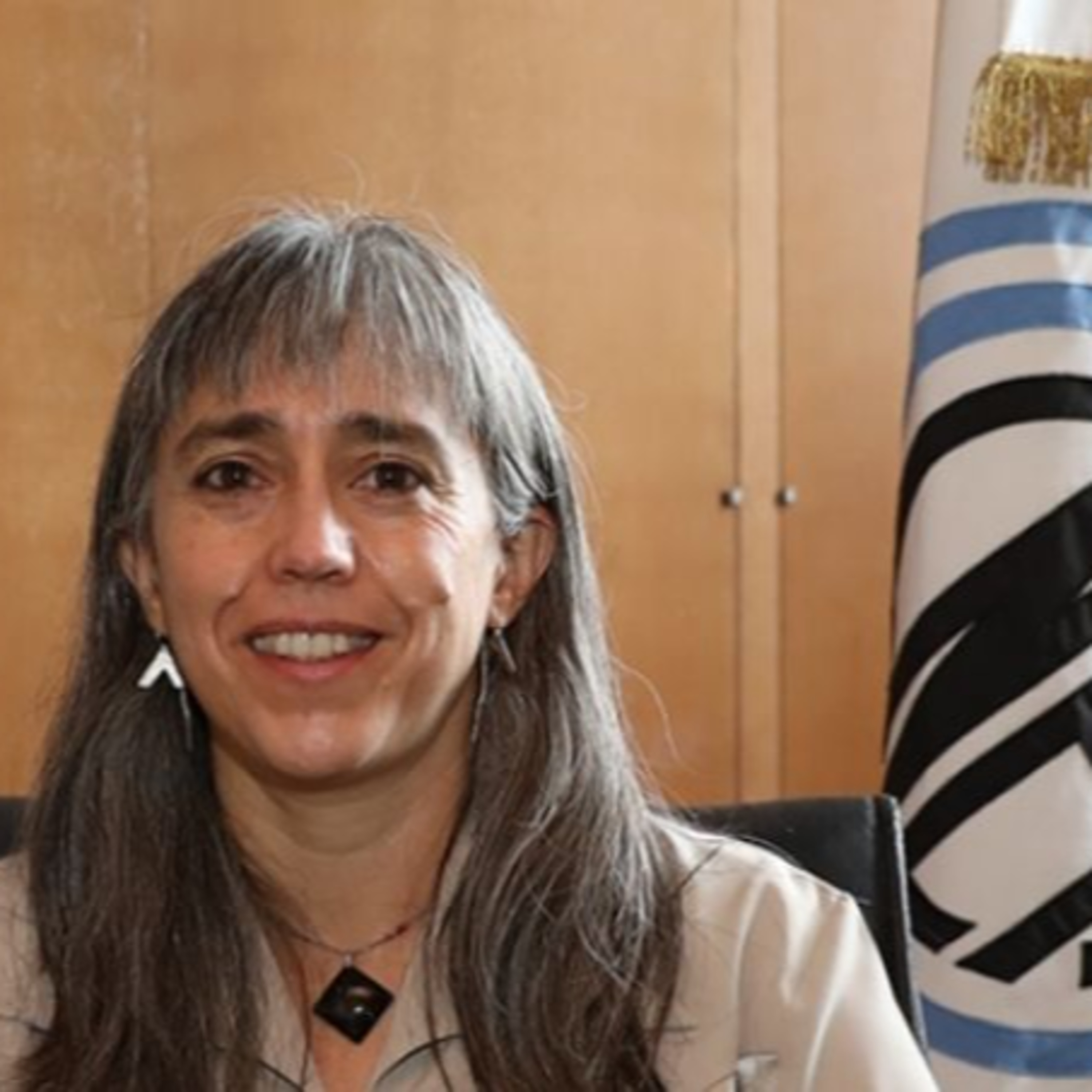 "Desarrollos en salud, energía, medioambiente, industria, ciencia y técnica nos dan inserción mundial. Probablemente todavía falte pensar una estrategia más firme de soberanía política." episode artwork