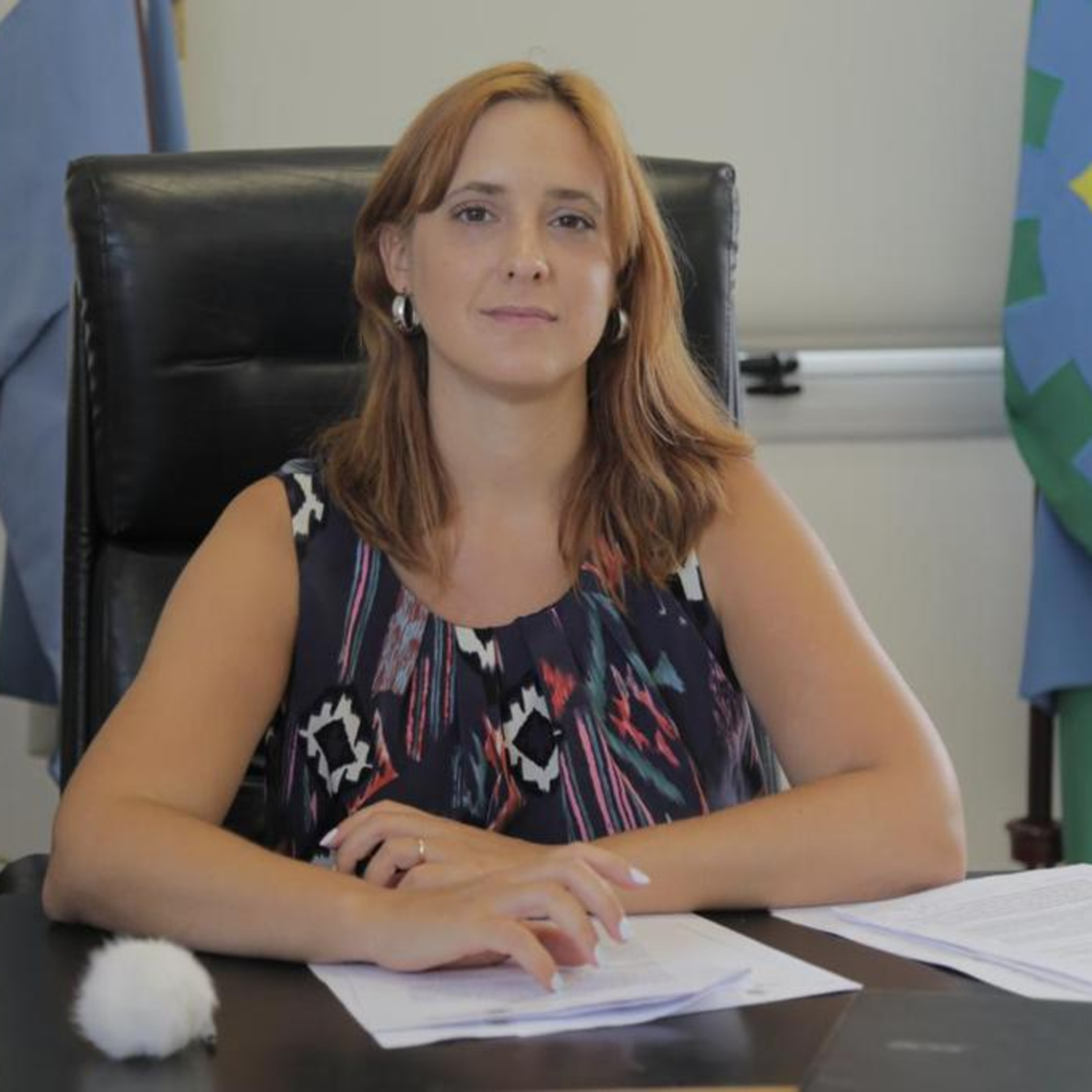 “Estamos trabajando en la estrategia de ayudar al que necesita pero también de recaudar lo que corresponde para reforzar el blanqueo laboral." episode artwork