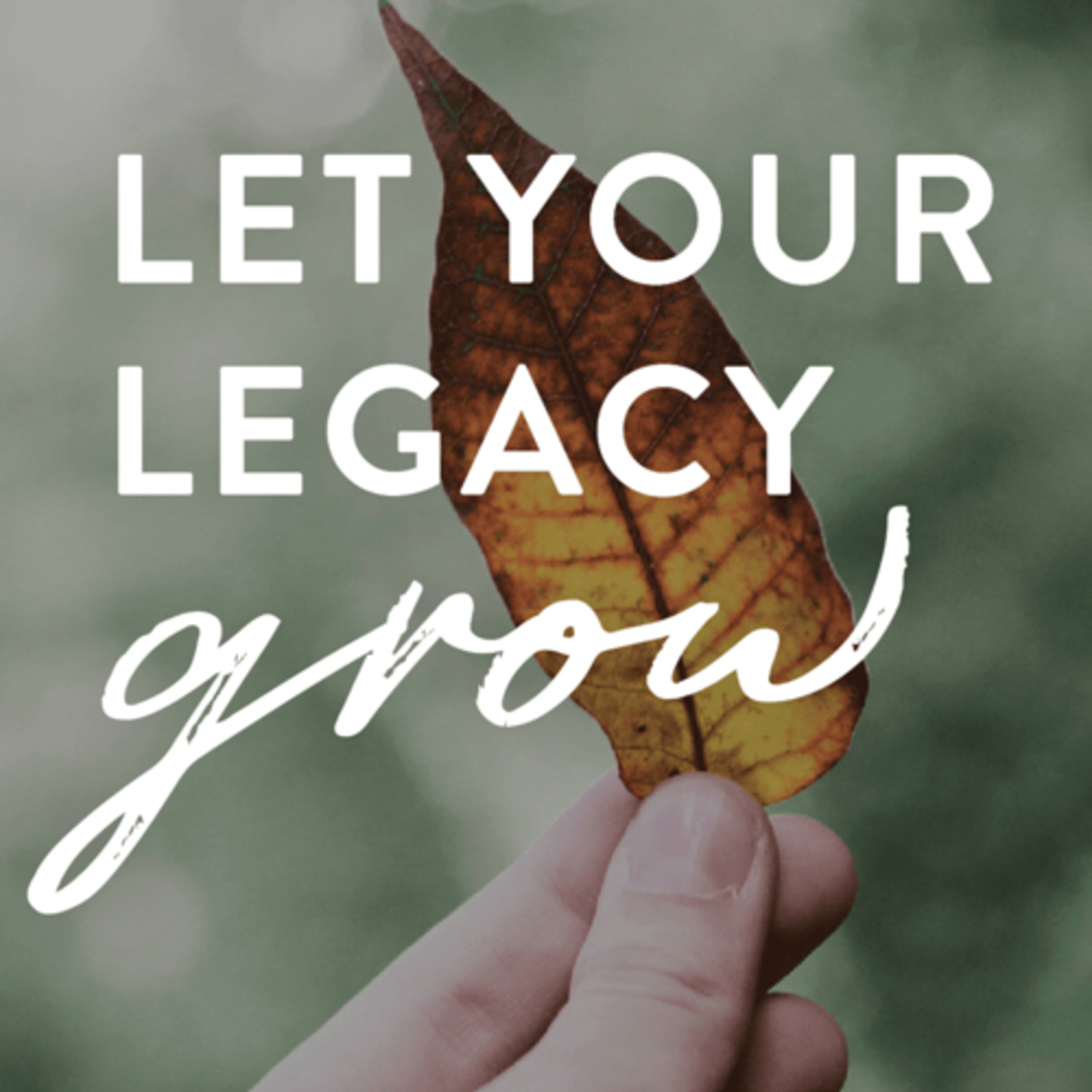 WHAT'S YOUR LEGACY episode artwork