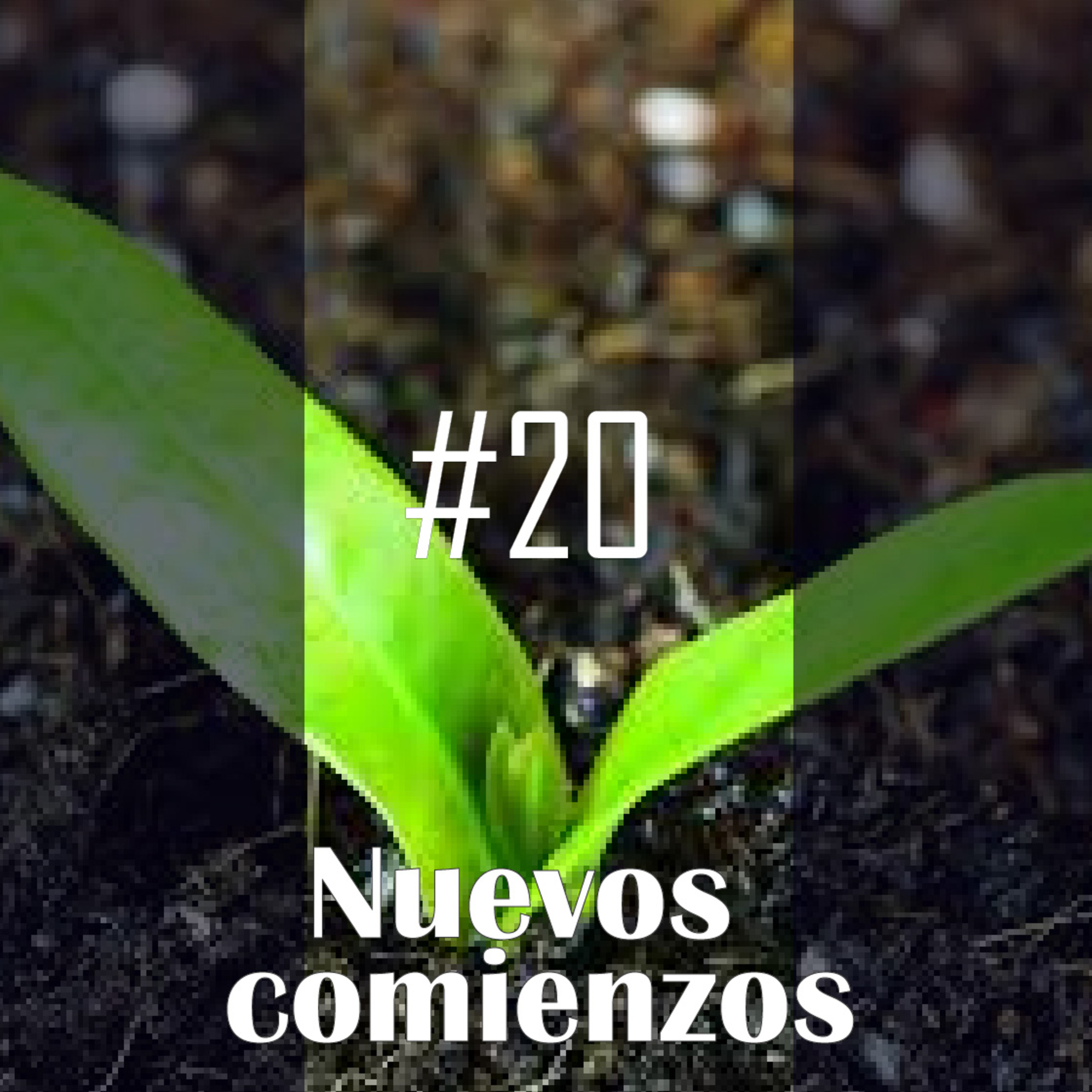 Nuevos comienzos episode artwork
