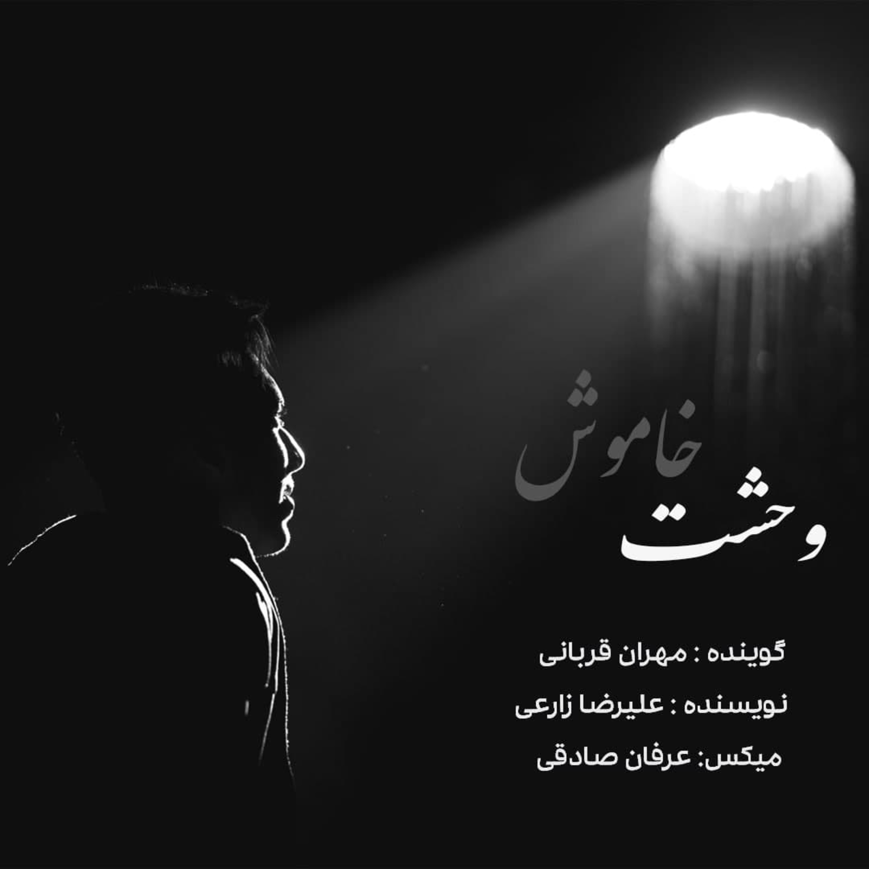 وحشت خاموش episode artwork