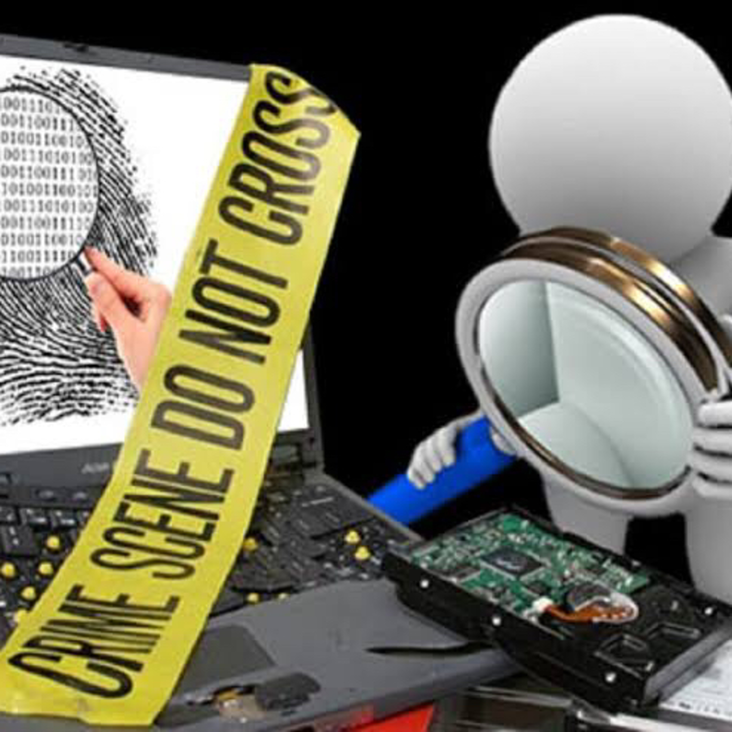 LA FUNCIÓN DEL PERITO EN EL JUCIO ORAL