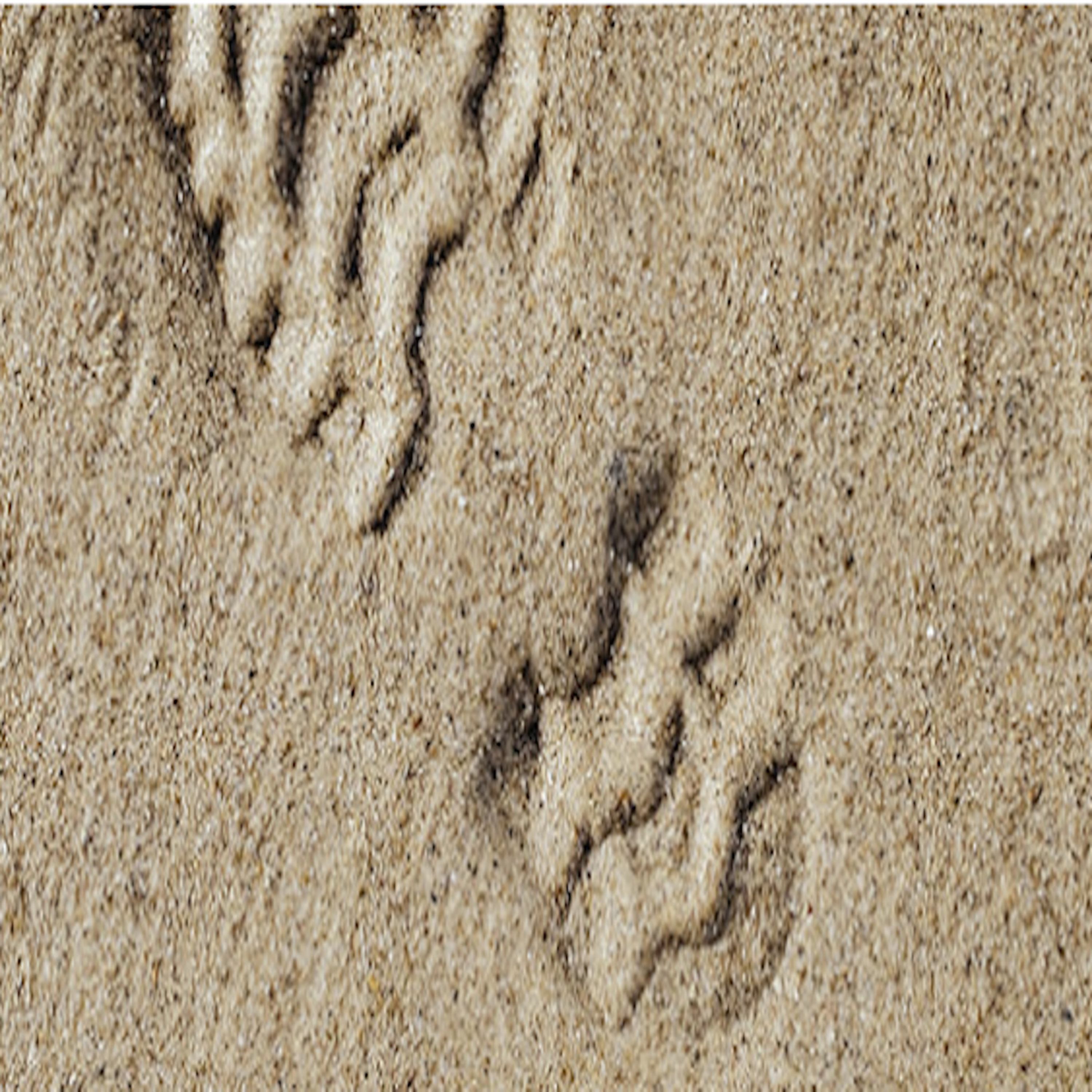 God’s Footprints on Down to Earth But Heavenly Minded Podcast episode artwork