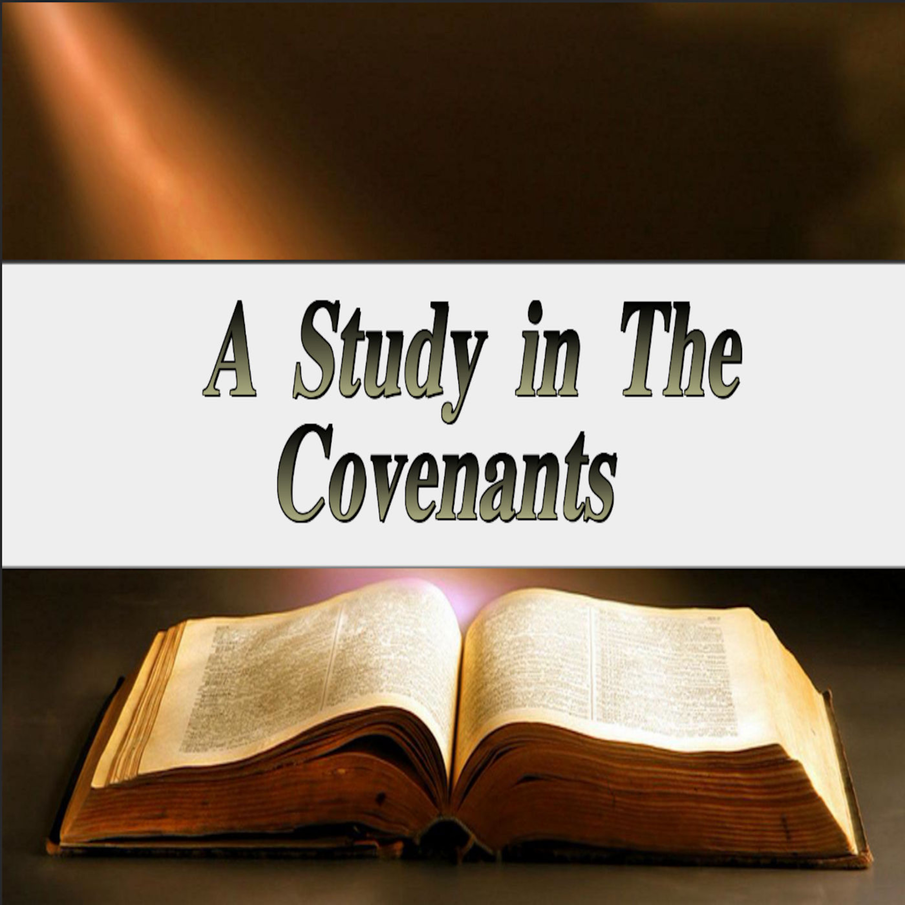 A Study in the Covenants by Pat Christenson Lesson 7 of 12