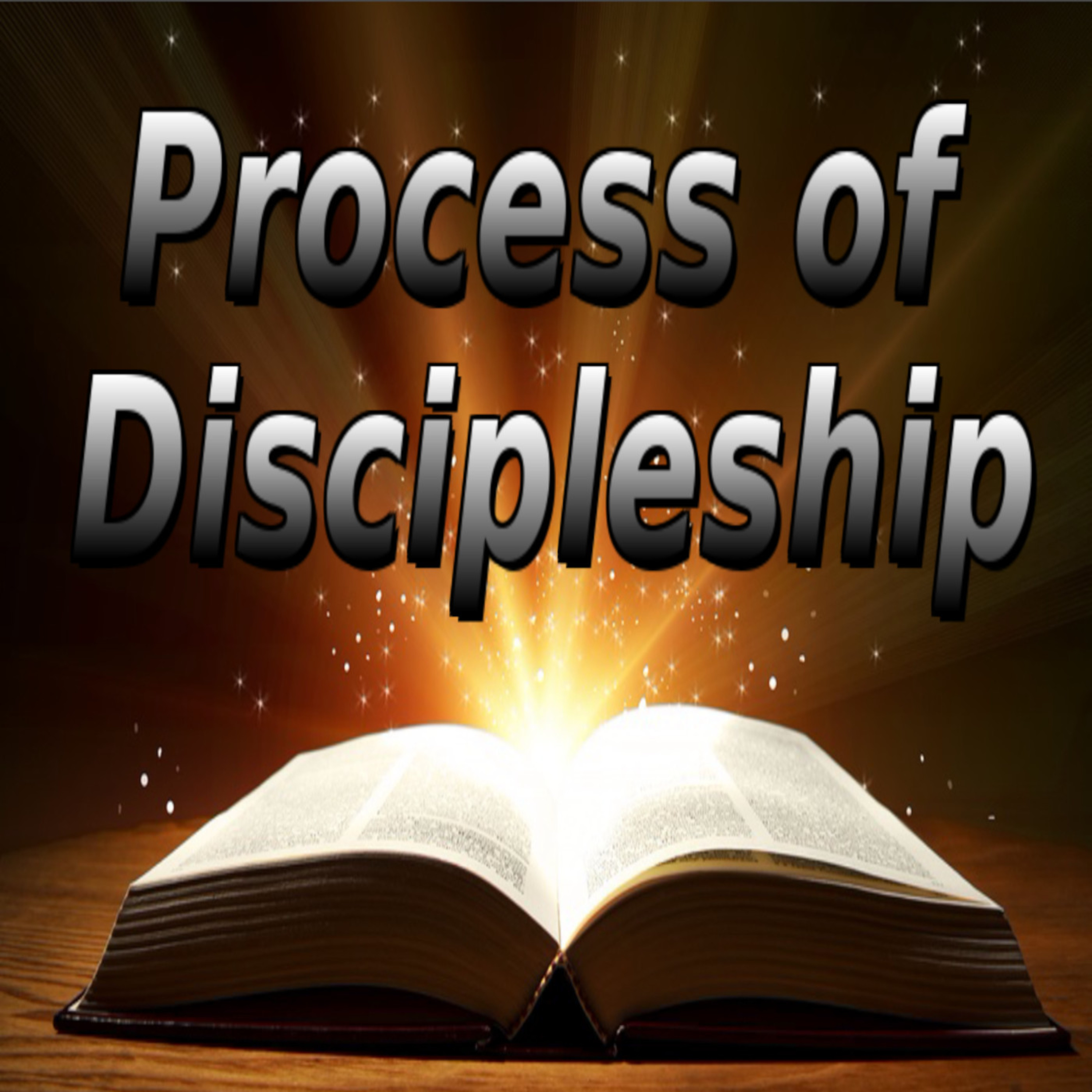 PRINCIPLES OF SPIRITUAL GROWTH, Process of Discipleship episode artwork