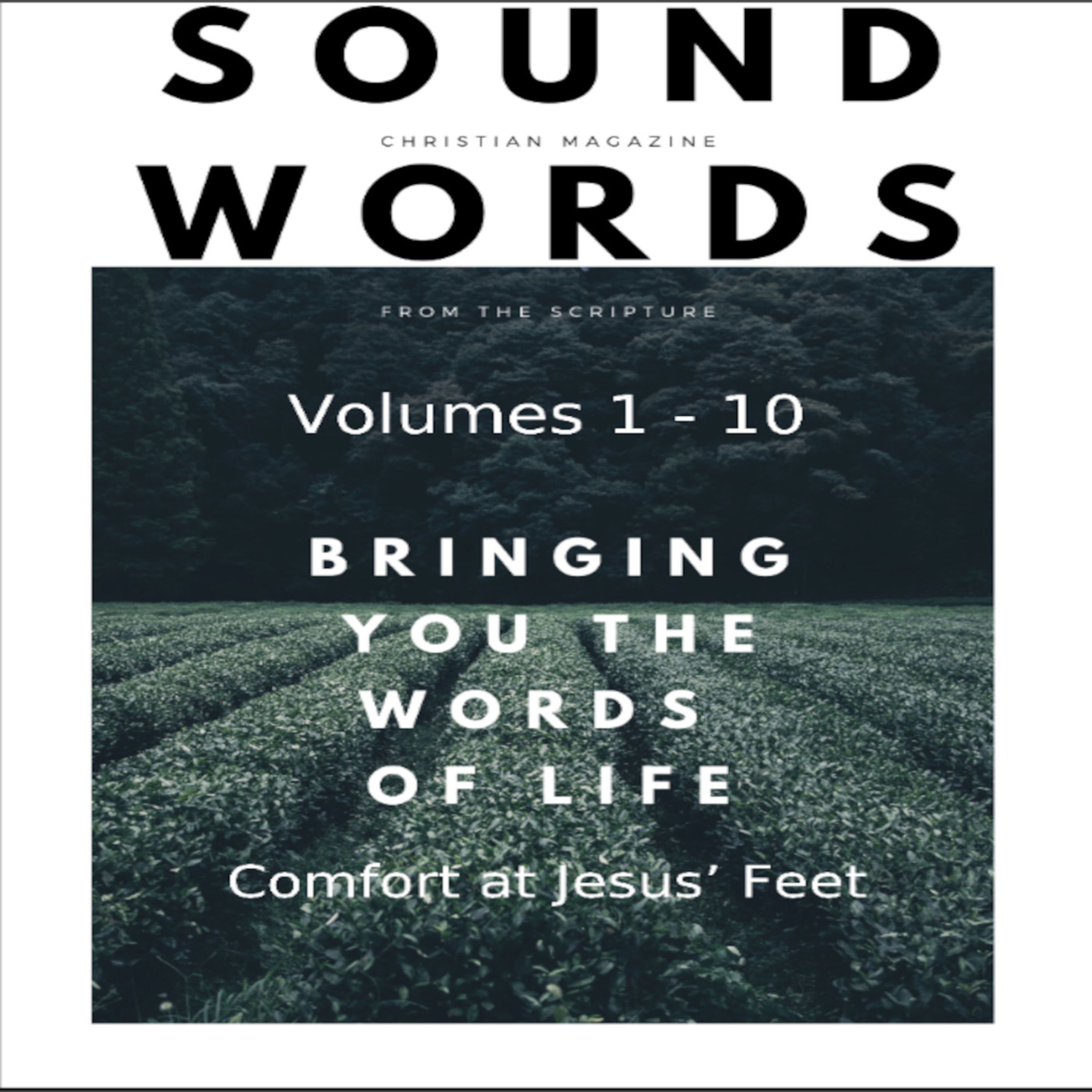 Sound Words 4 Comfort at Jesus' Feet episode artwork