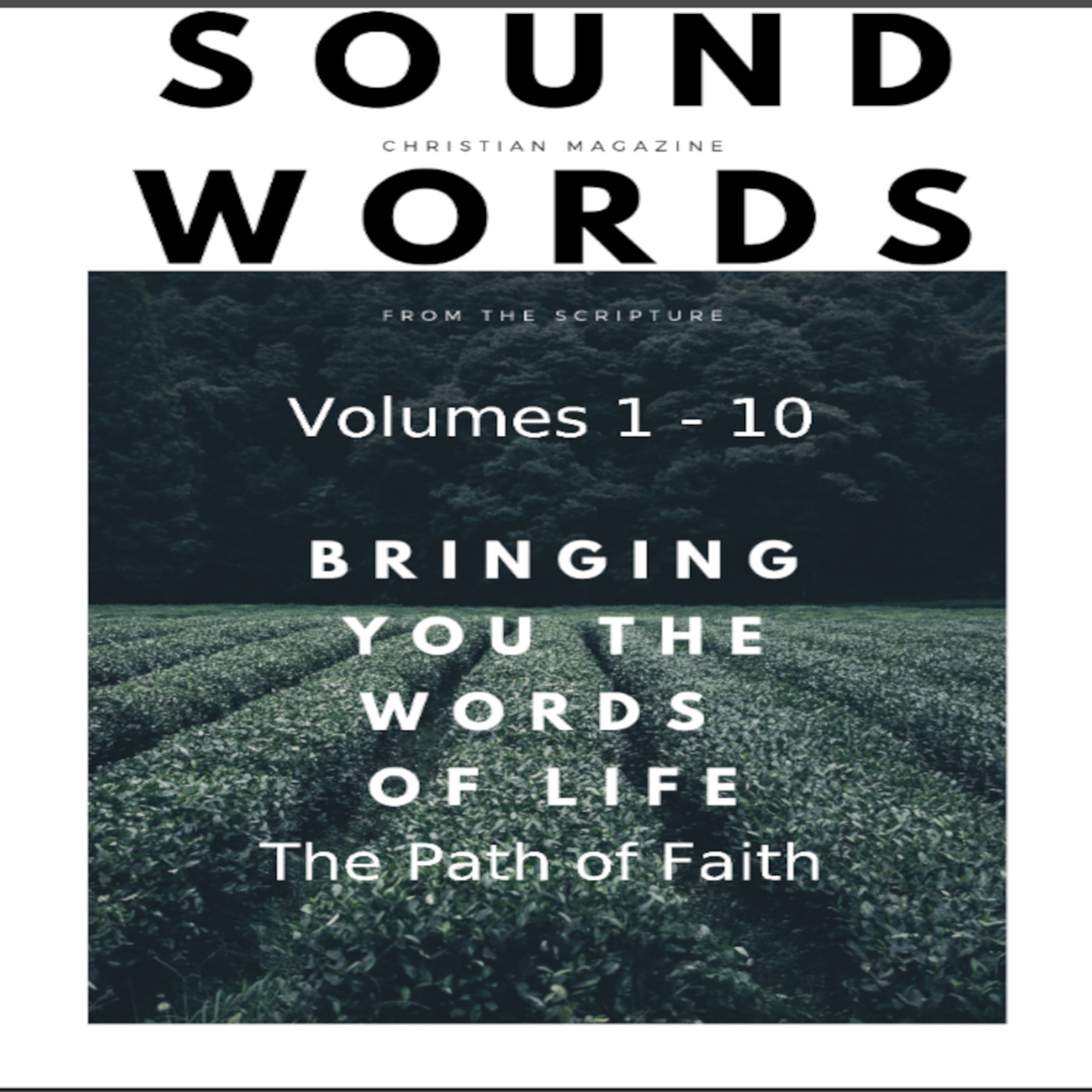 Sound Words, The Path of Faith episode artwork
