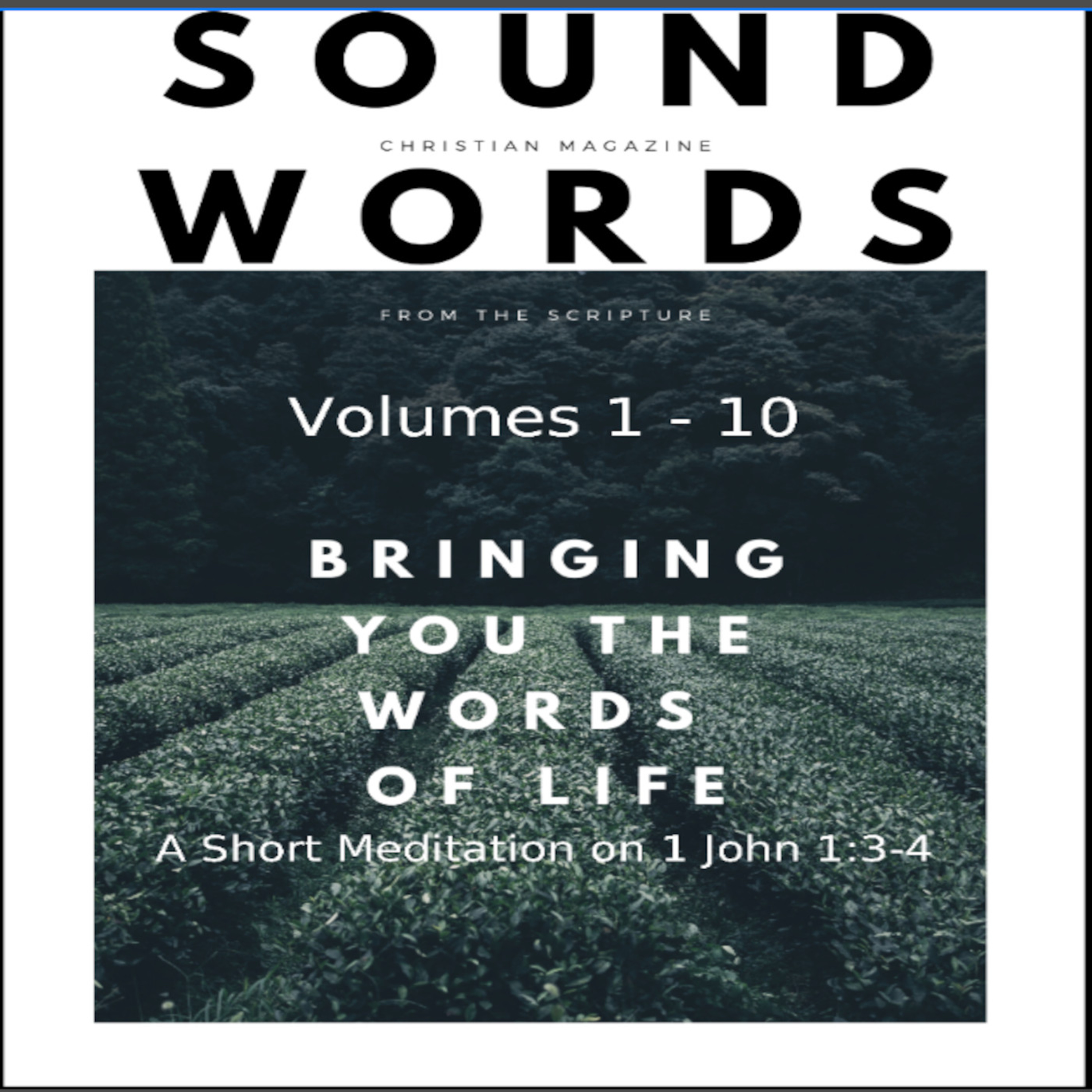 Sound Words, A Short Meditation on 1 John 1:3 4 episode artwork
