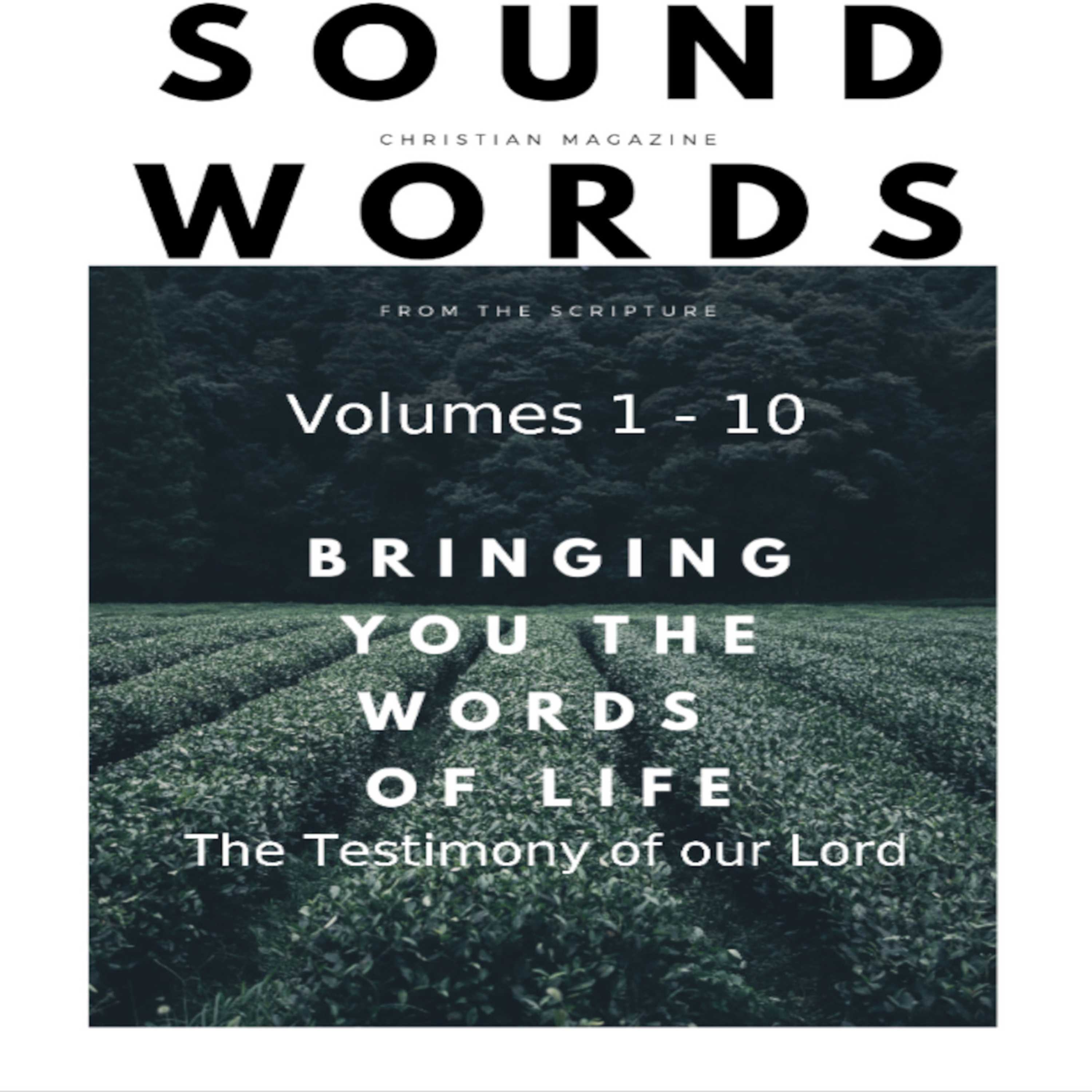 Sound Words, The Testimony of our Lord