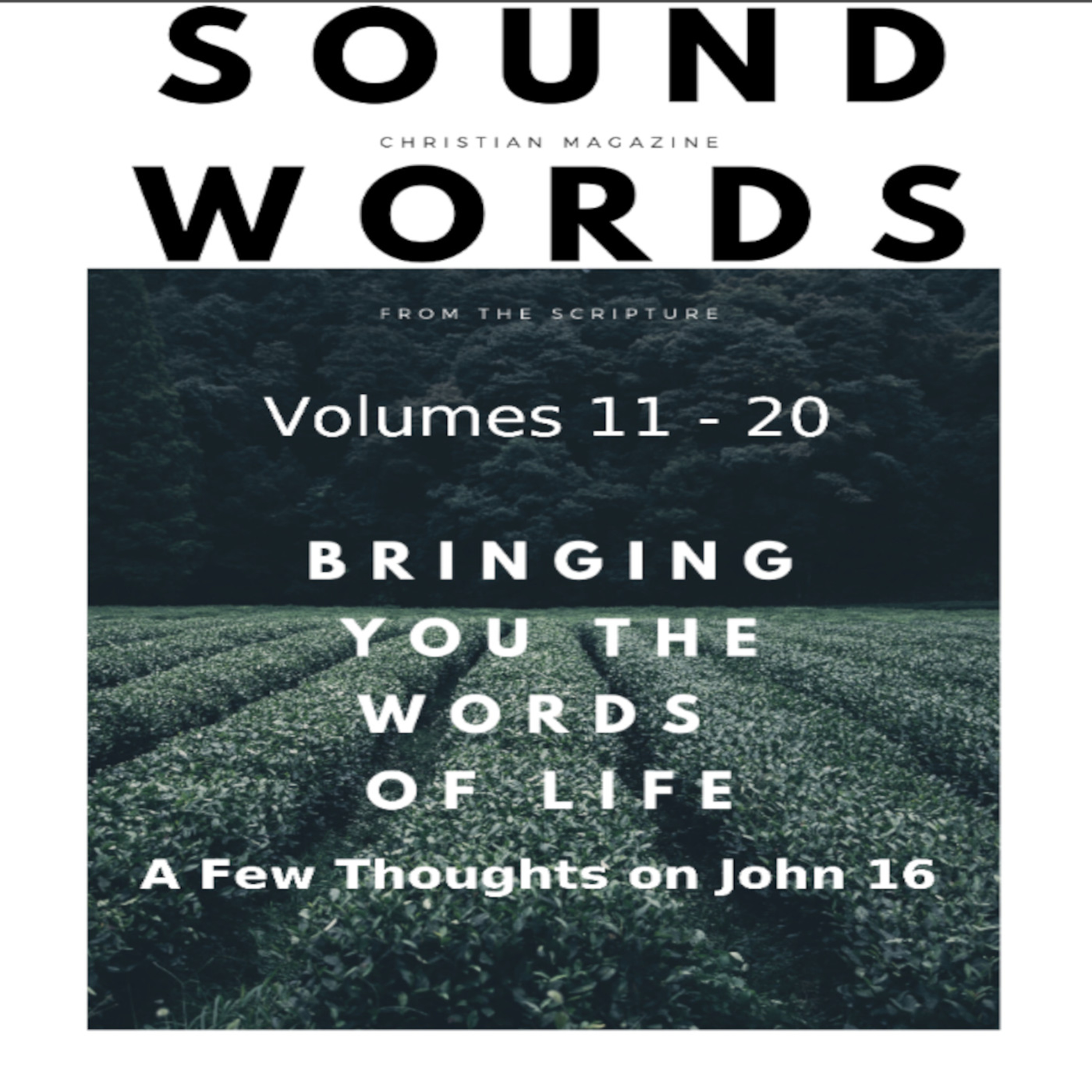 Sound Words, A Few Thoughts on John 16 episode artwork