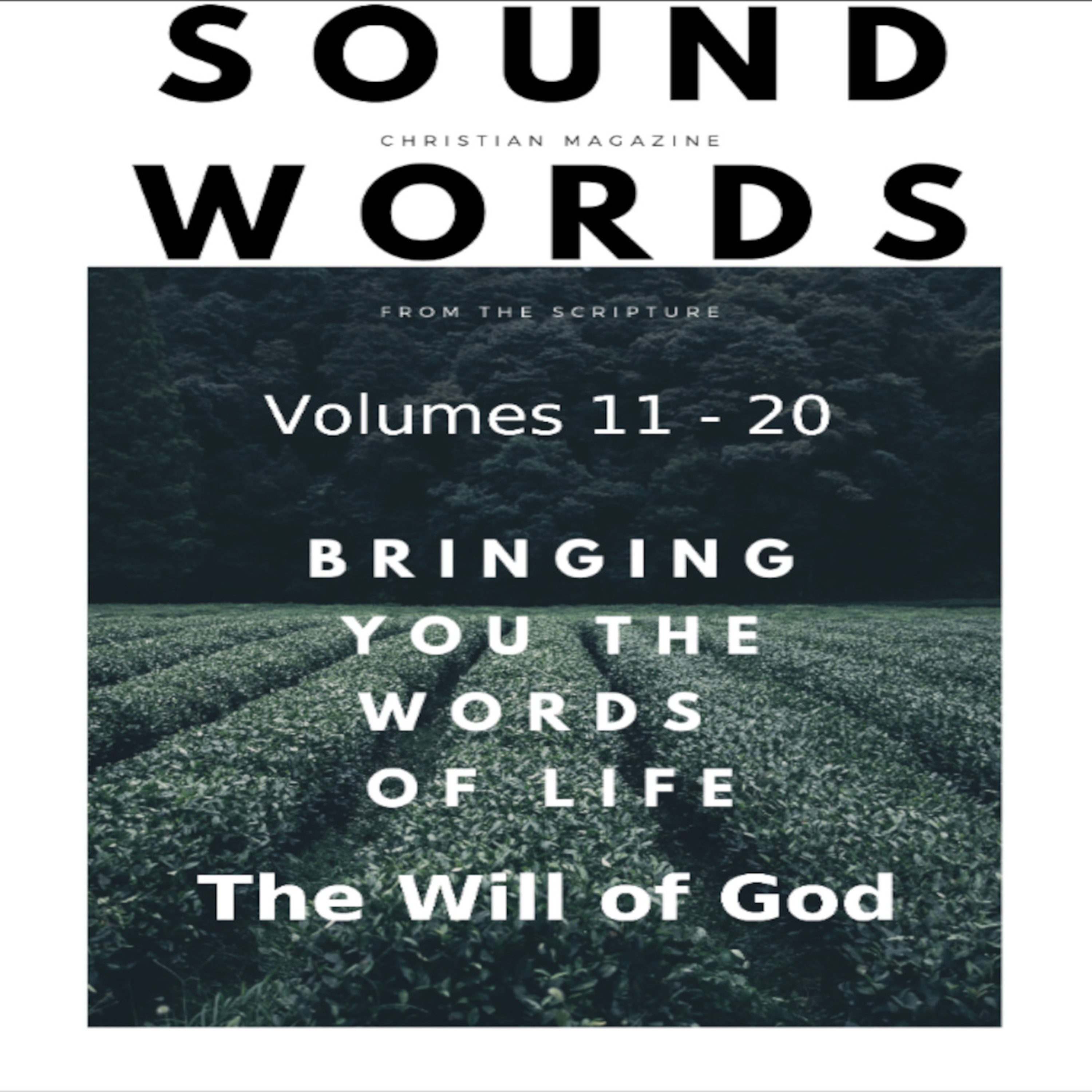 Sound Words, The Will of God episode artwork