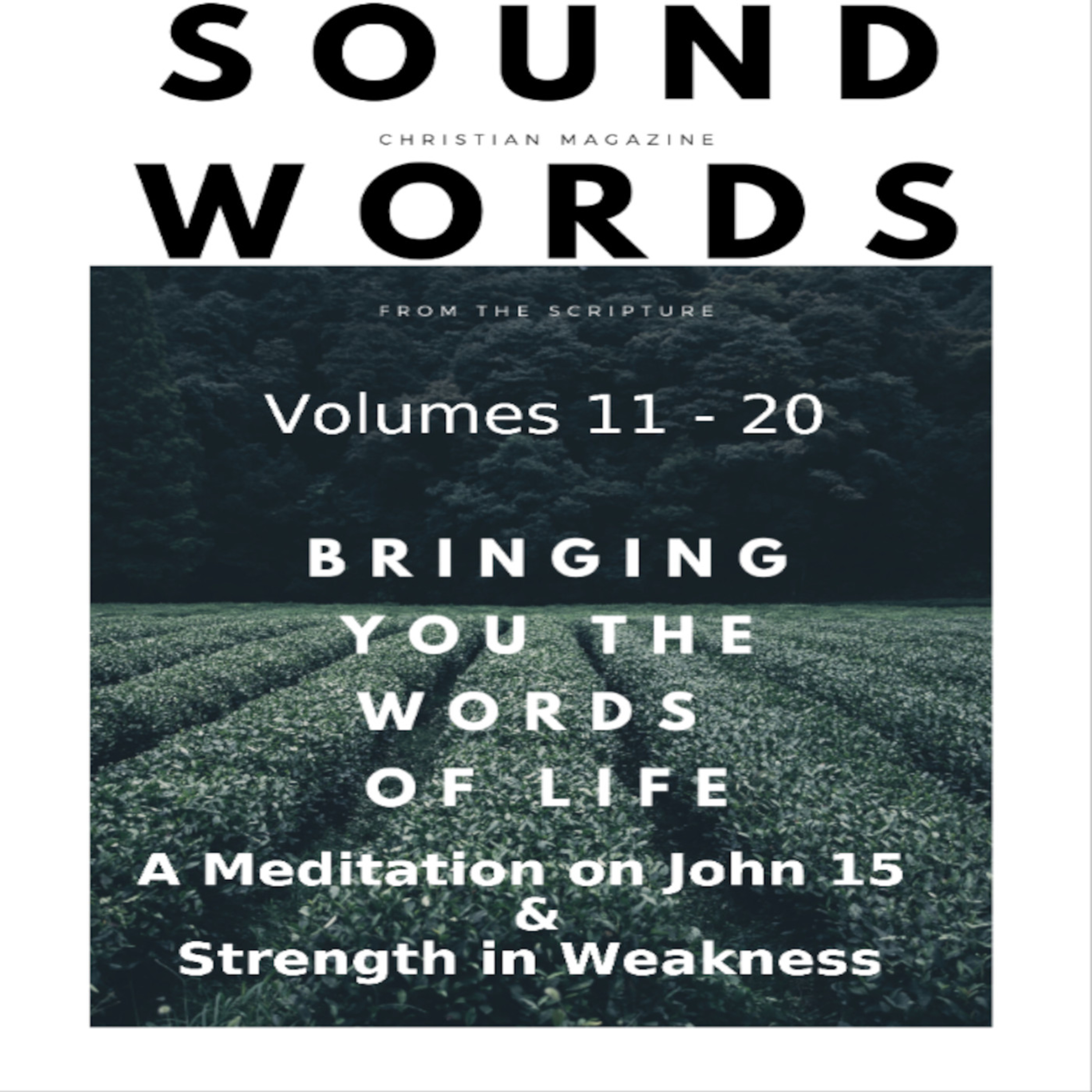 Sound Words, A Meditation on John 15 & Strength in Weakness episode artwork