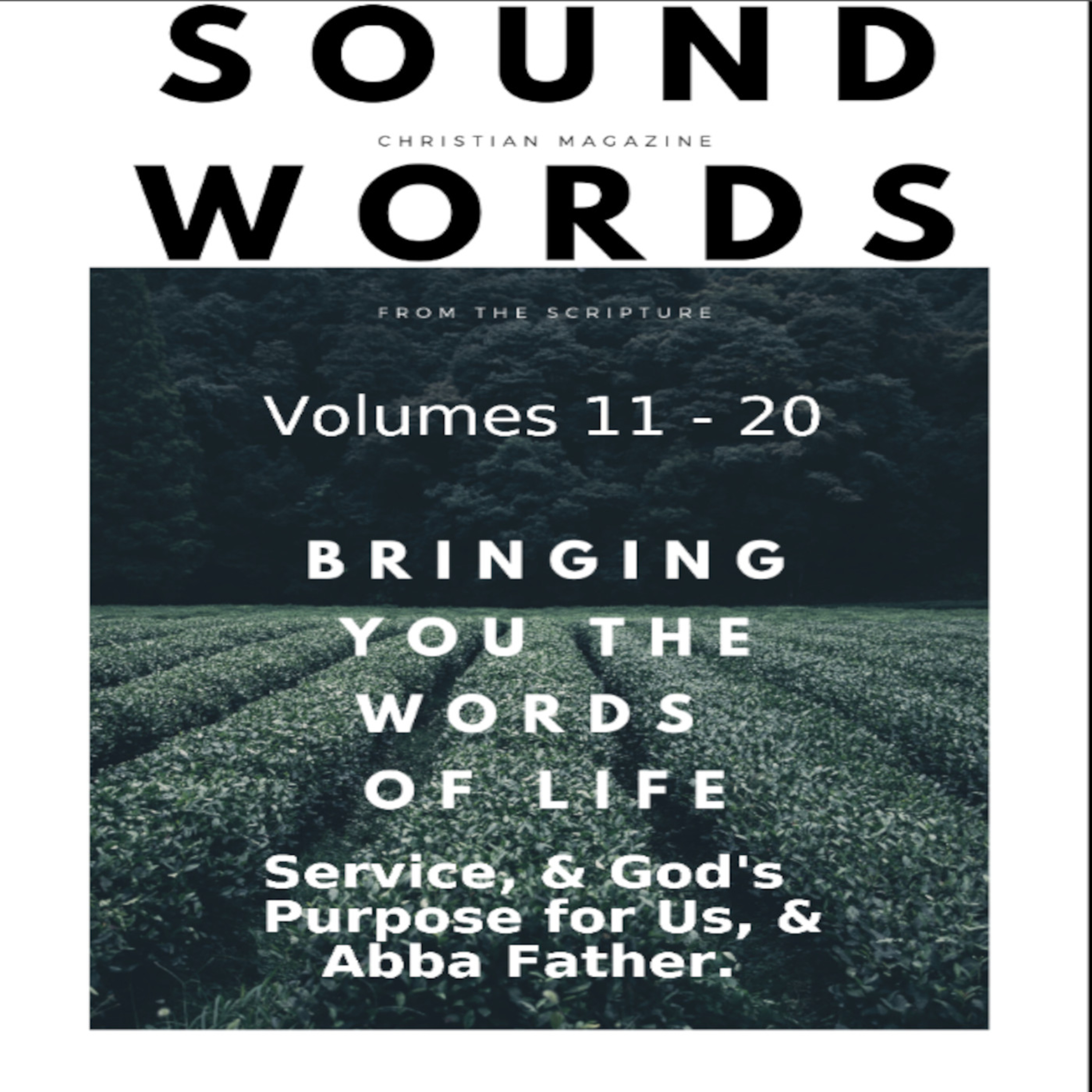 Sound Words, Service & God's Purpose for Us & Abba Father