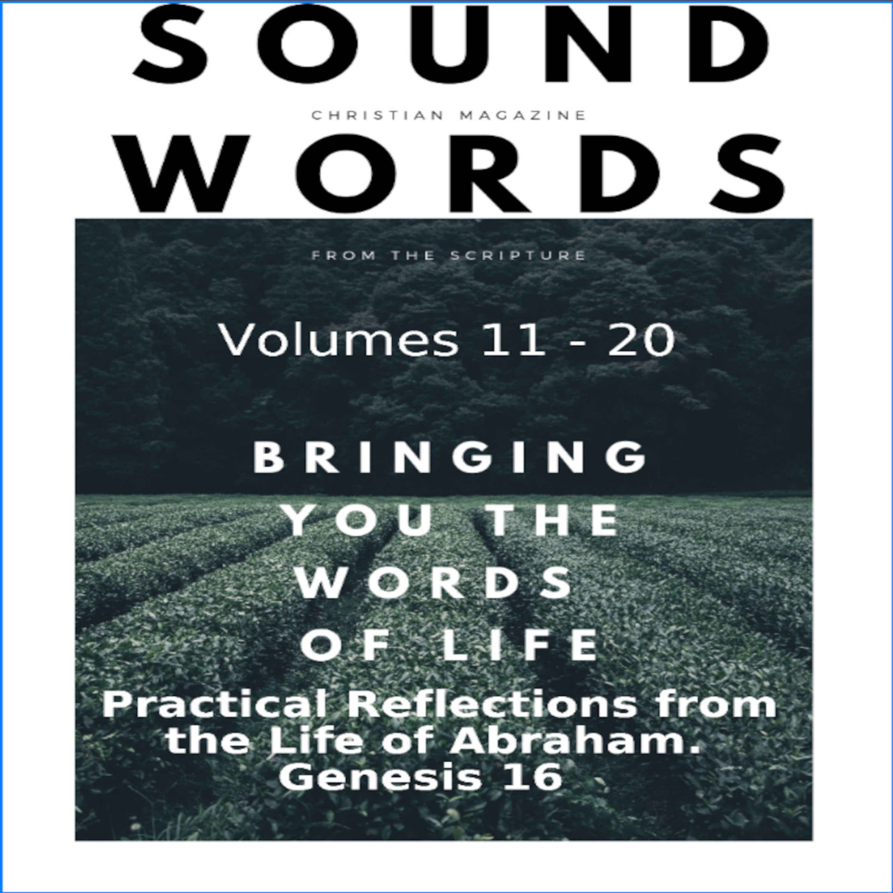 Sound Words, Practical Reflections from the Life of Abraham, Genesis 16 episode artwork