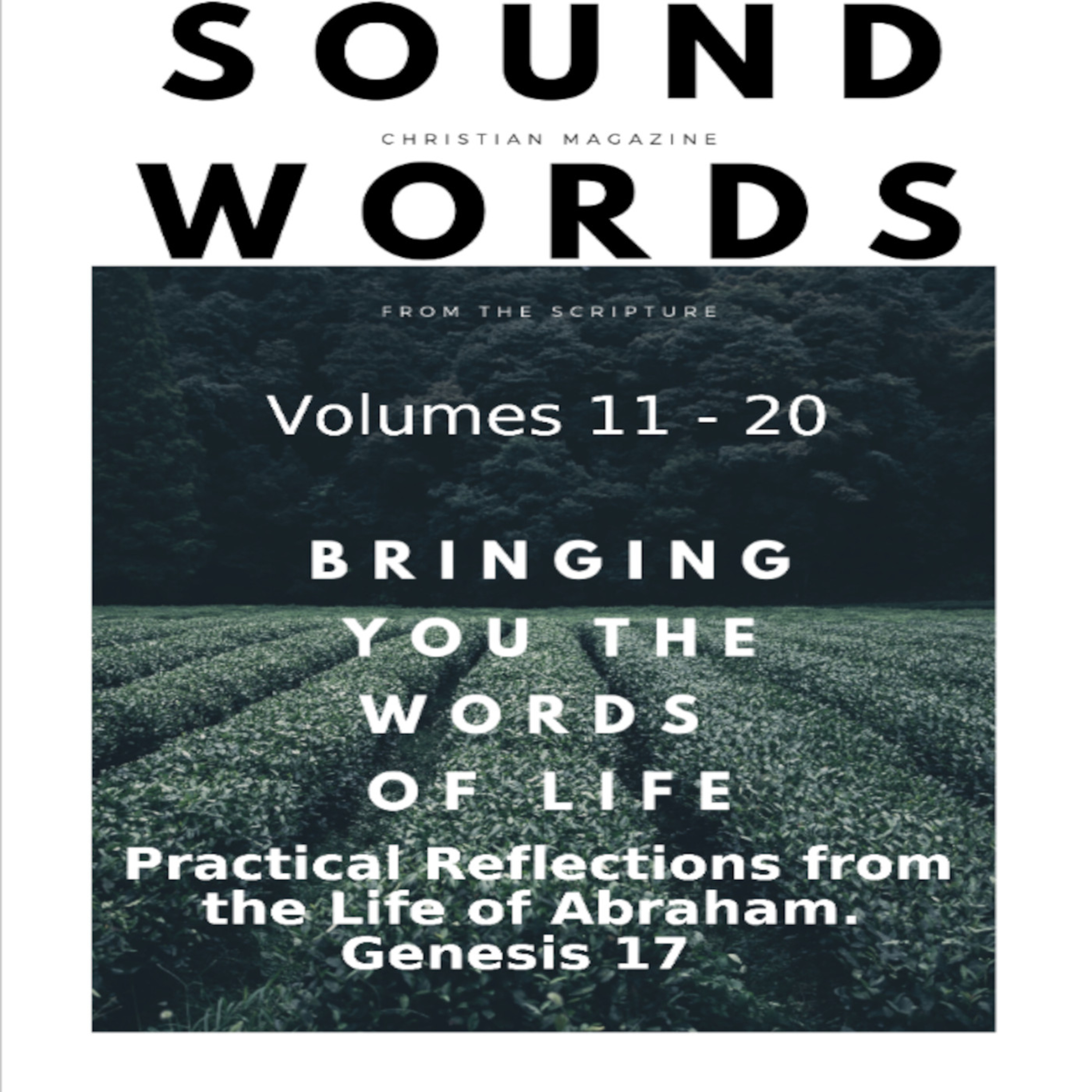 Sound Words, Practical Reflections from the Life of Abraham, Genesis 17 episode artwork