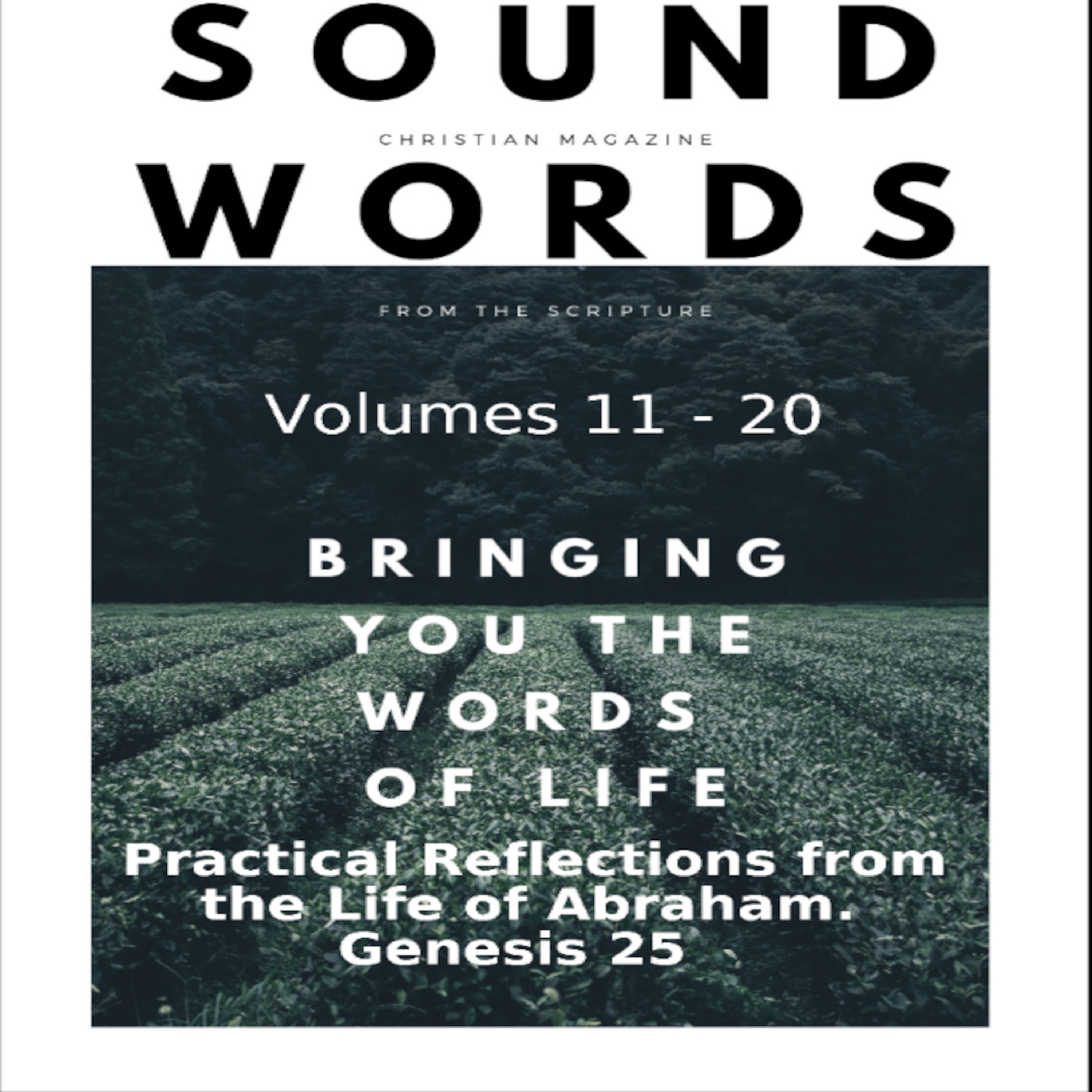 Sound Words, Practical Reflections from the Life of Abraham, Genesis 25 episode artwork