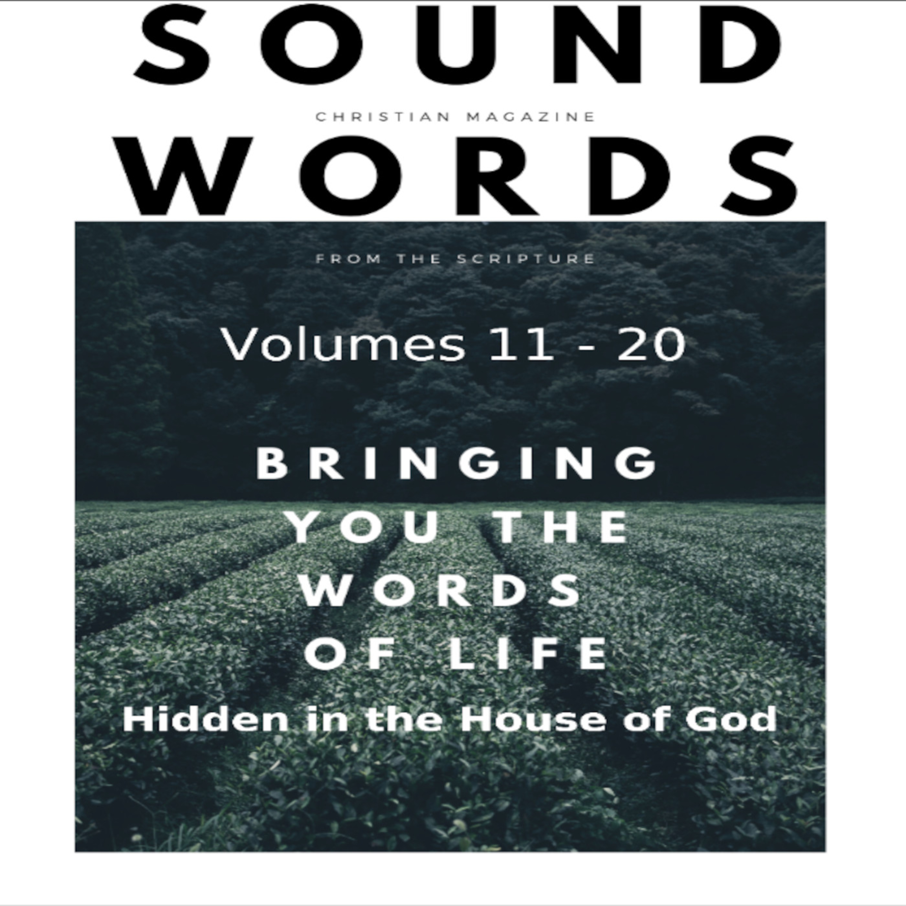 Sound Words, Hidden in the House of God