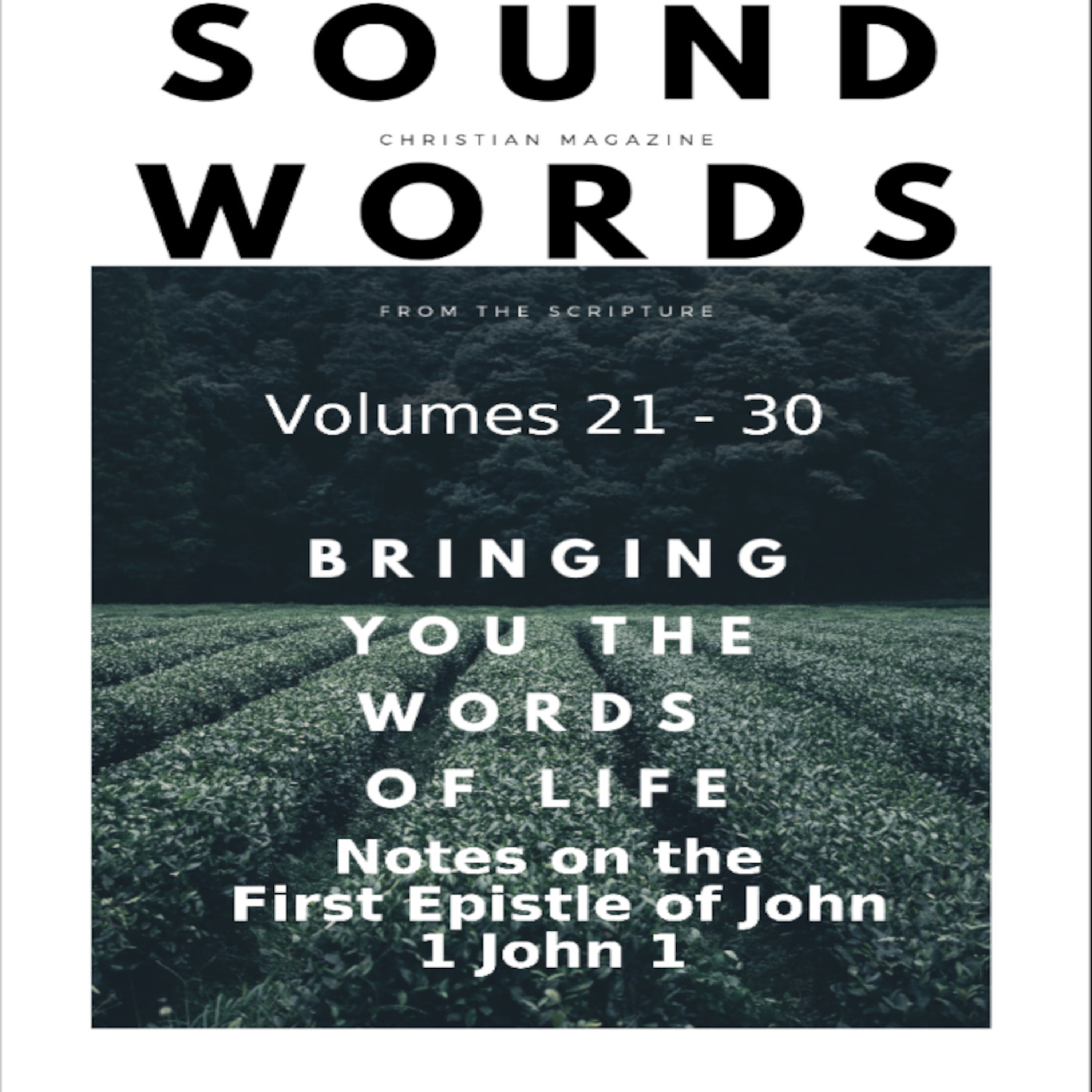 Sound Words, Notes on the First Epistle of John, 1 John 1 episode artwork