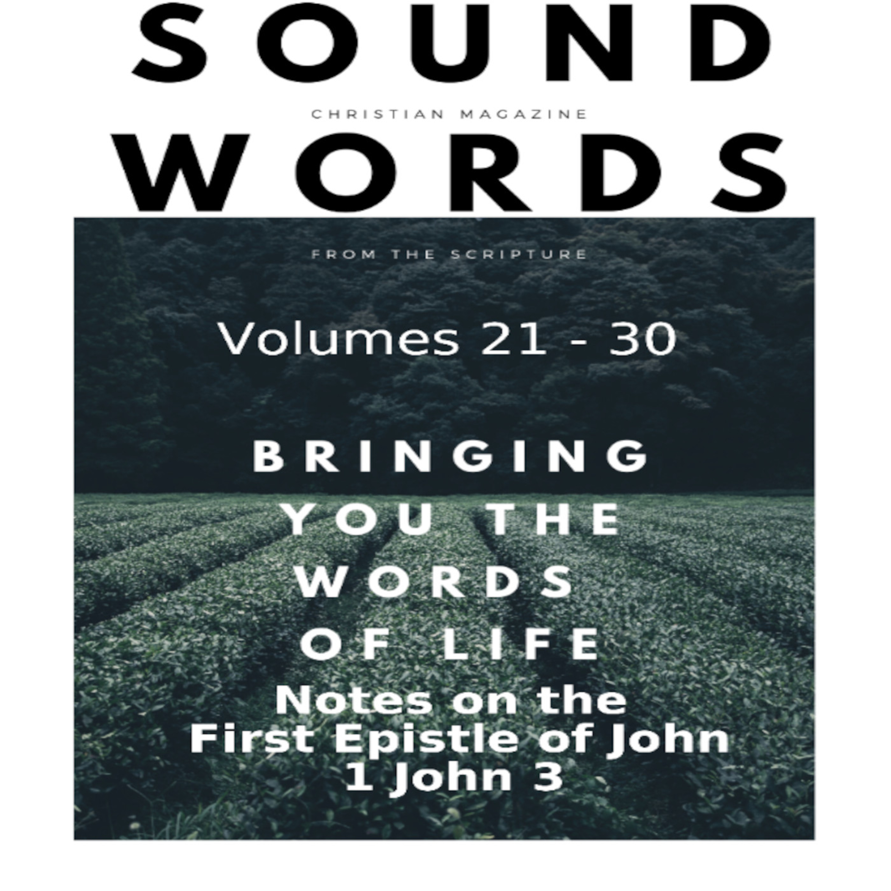 Sound Words, Notes on the First Epistle of John, 1 John 3 episode artwork